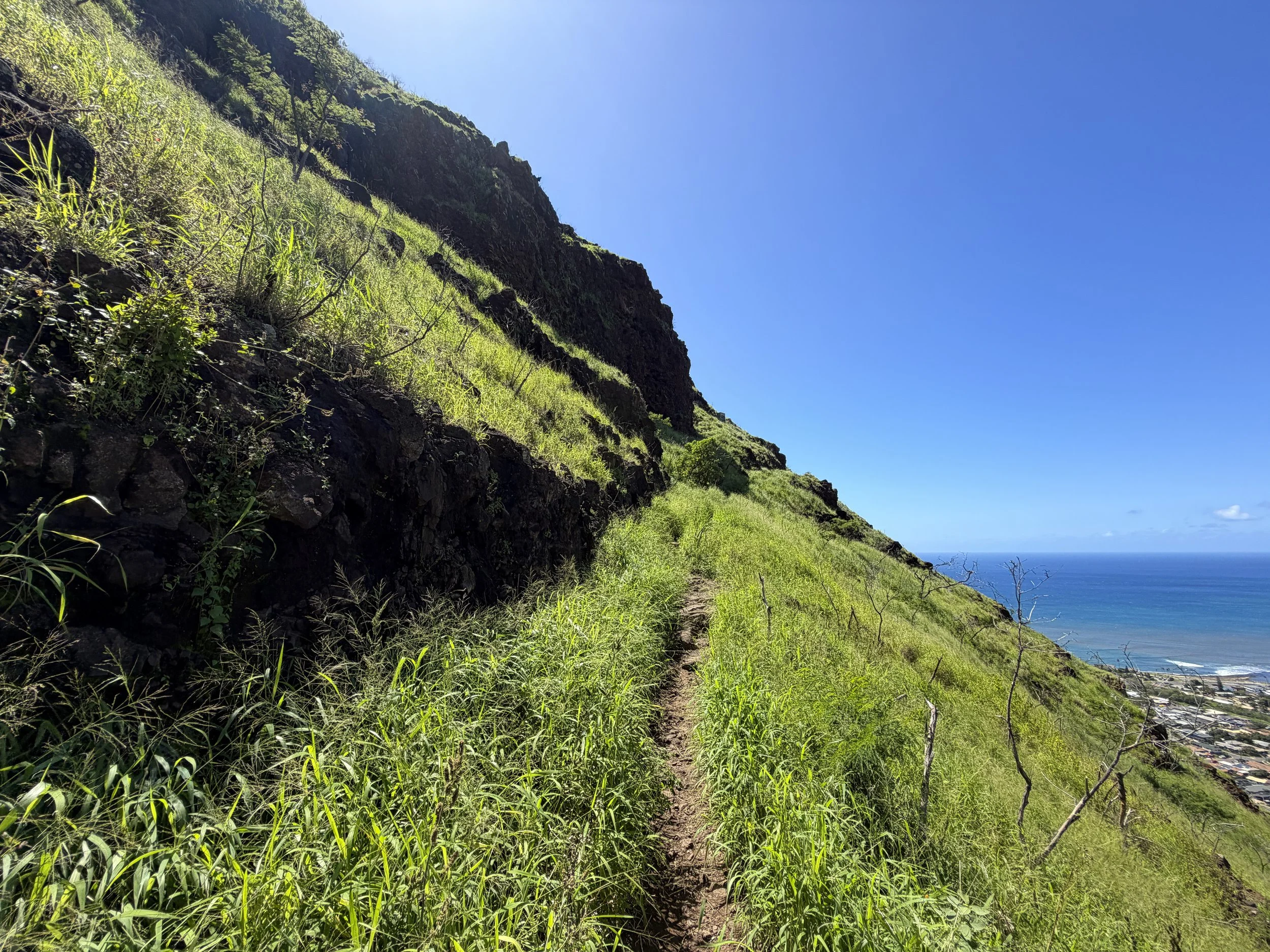 Puu O Hulu Trail to Pink Pillbox Oahu Hawaii