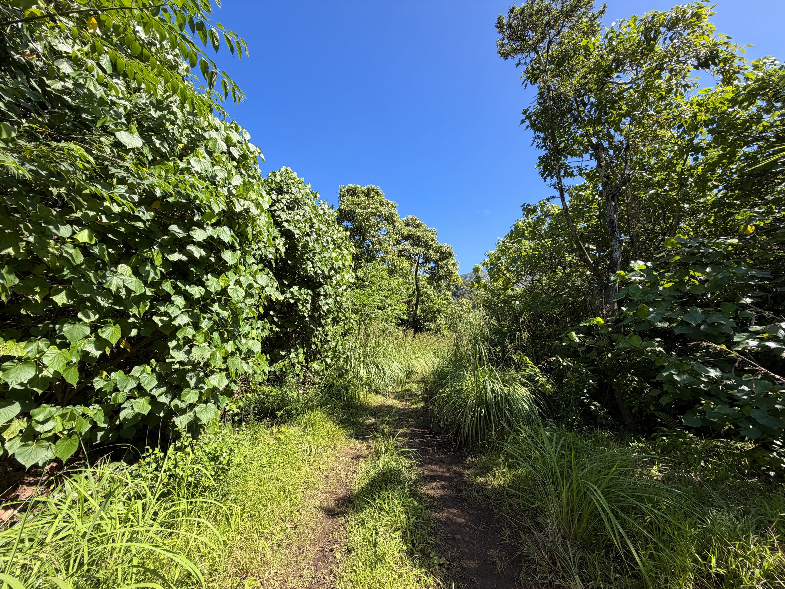 Kulanaahane Trail Moanalua Valley Road Oahu Hawaii
