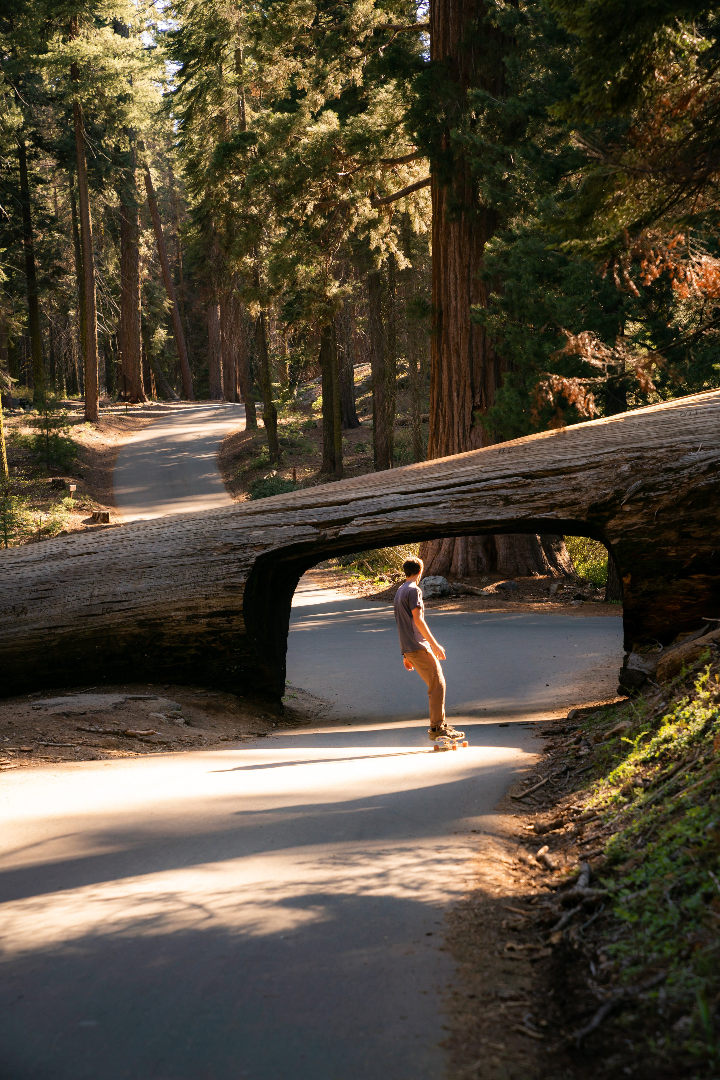 Sequoia &amp; Kings Canyon