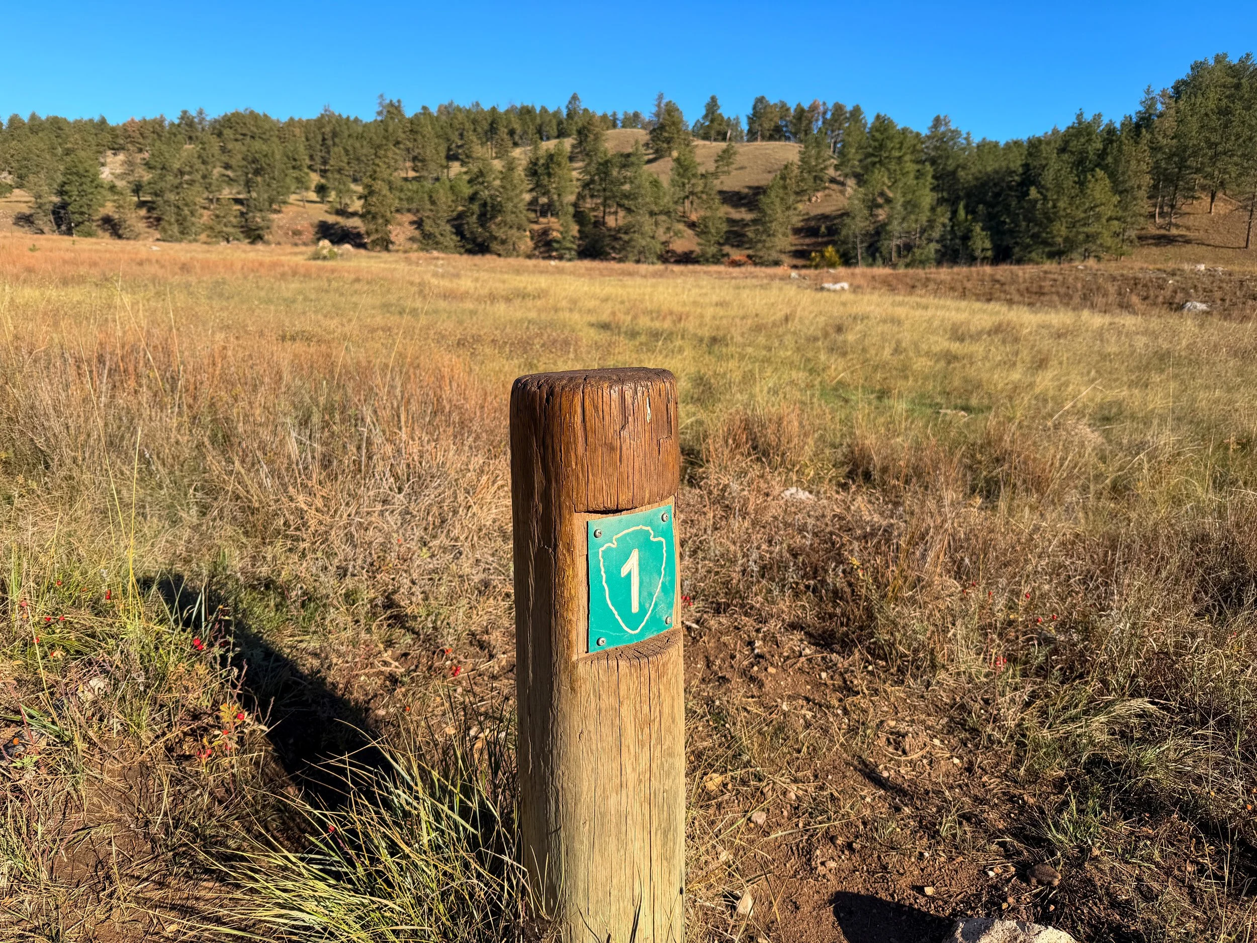 Cold Brook Canyon Trail Wind Cave National Park South Dakota