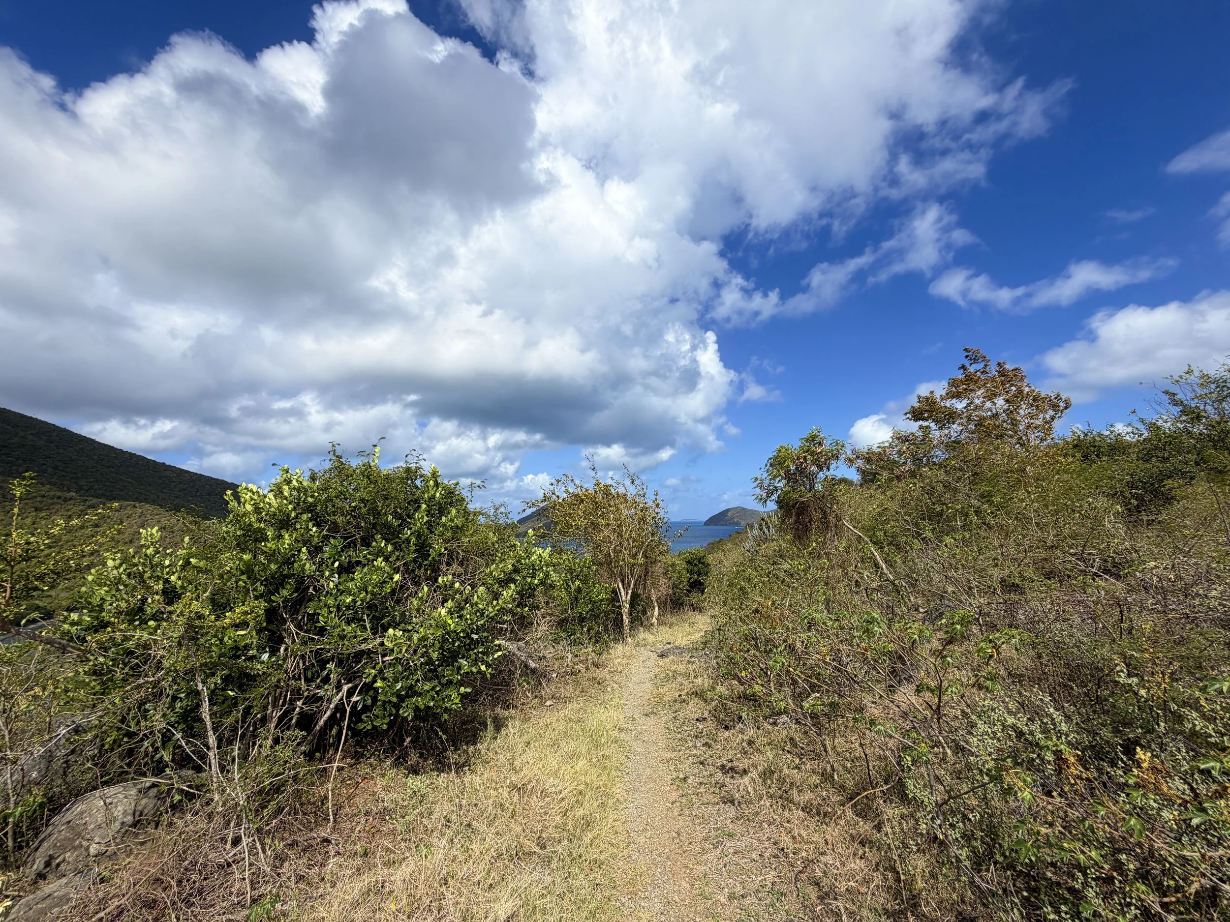 Johnny Horn Trail to Waterlemon Bay Virgin Islands National Park