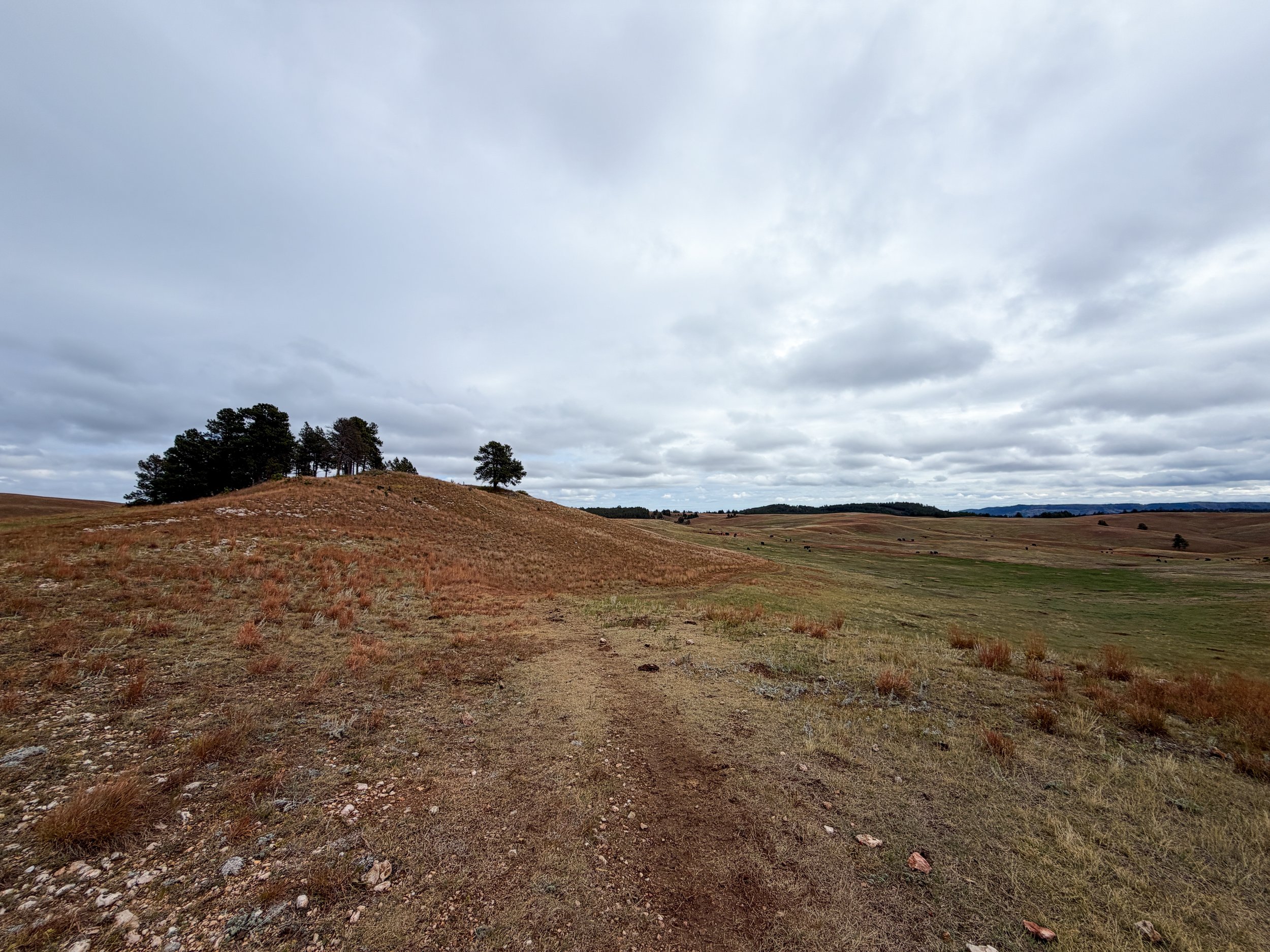 Highland Creek Trail Wind Cave National Park South Dakota