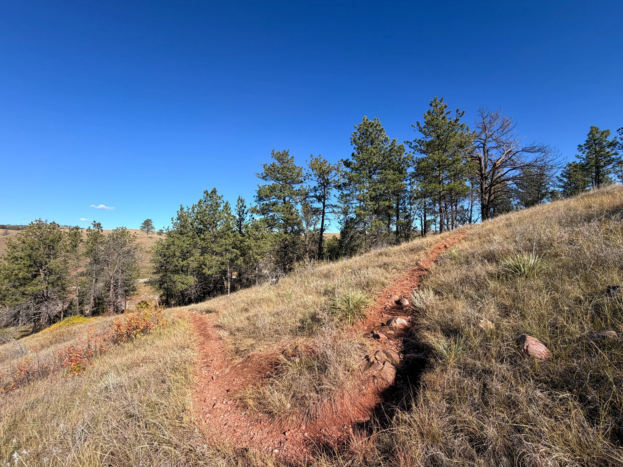 Prairie Vista Trail Wind Cave National Park South Dakota