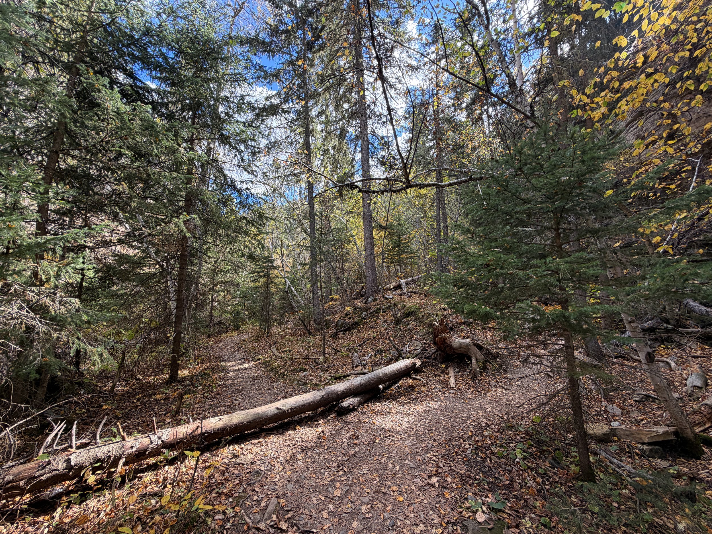 Devils Bathtub Trail Spearfish Canyon Black Hills South Dakota