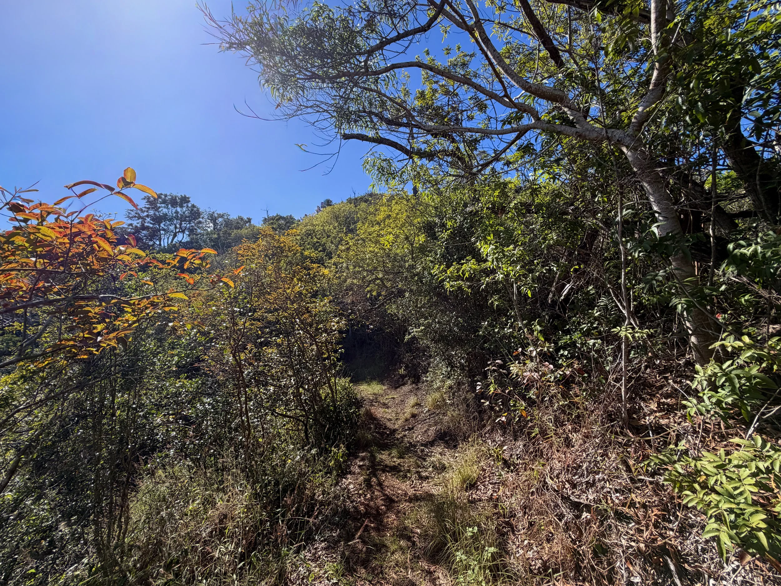 Mokuleia Trail Oahu Hawaii