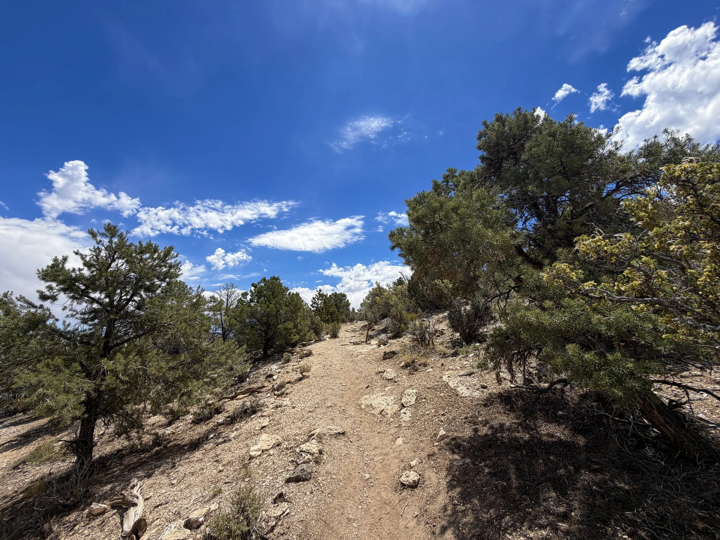 Mountain View Nature Trail Great Basin National Park Nevada