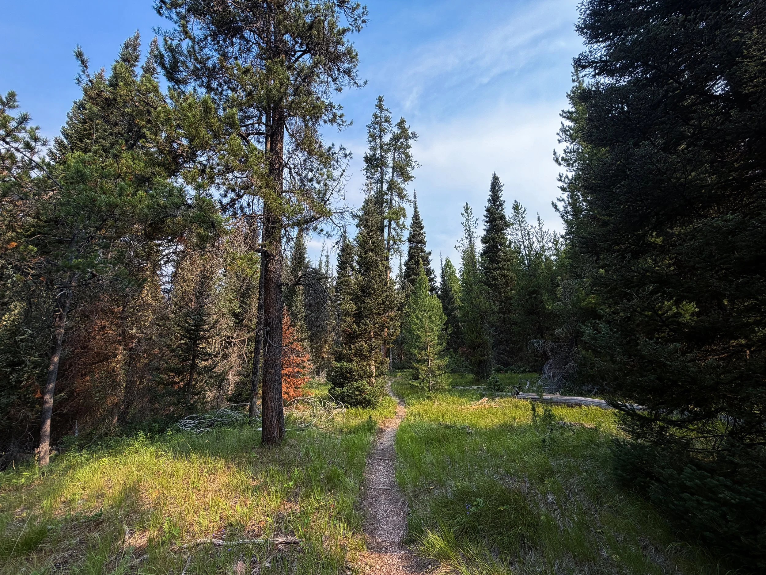 Boulder–Aspen Ridge Loop Trail Grand Teton National Park Wyoming