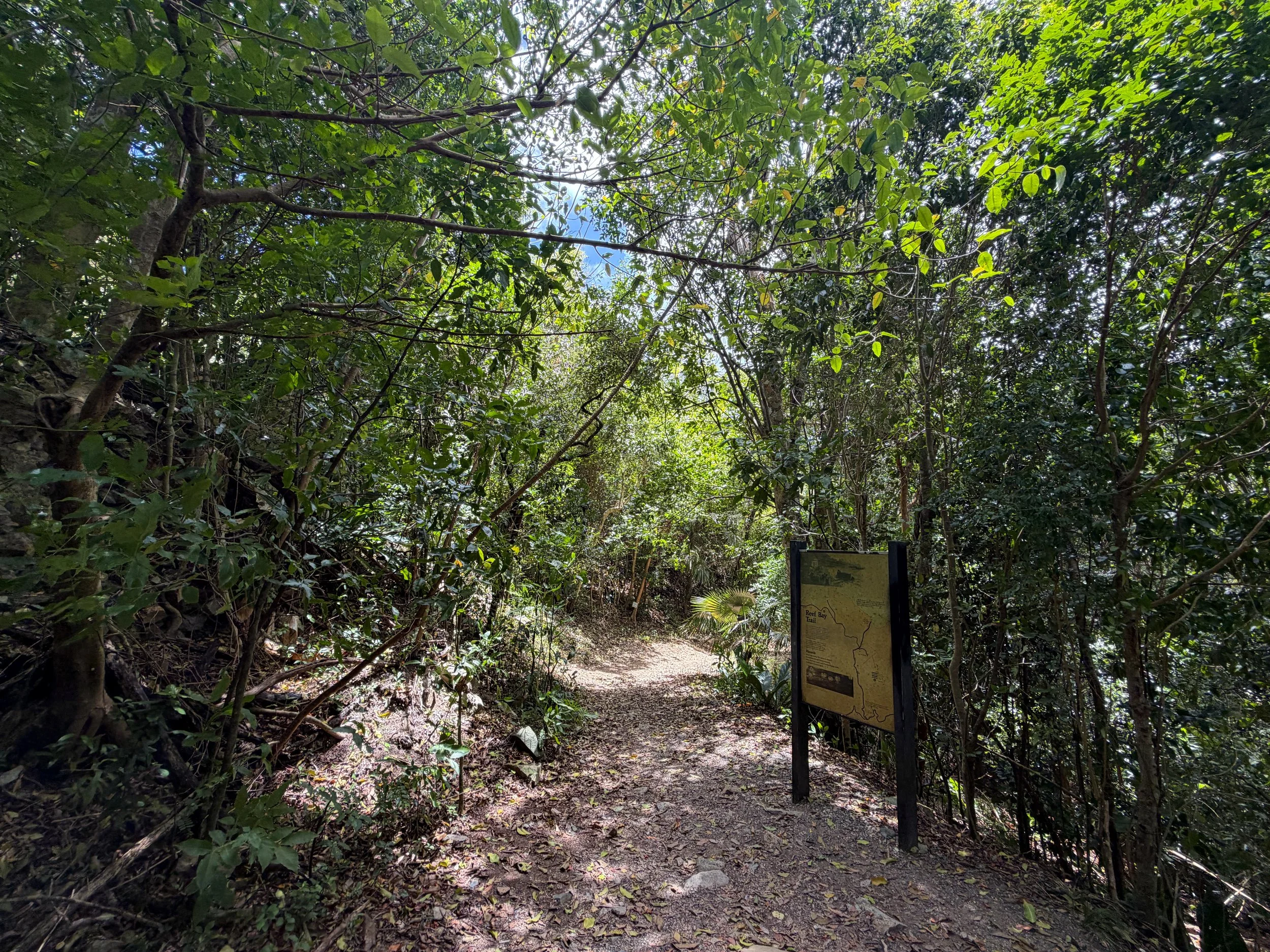 Reef Bay Trailhead Virgin Islands National Park