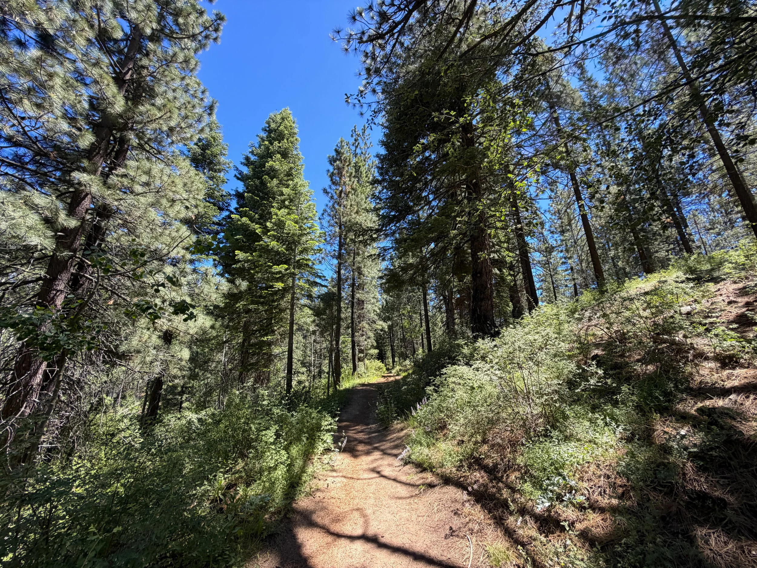 Spooner Lake Trail Lake Tahoe Nevada