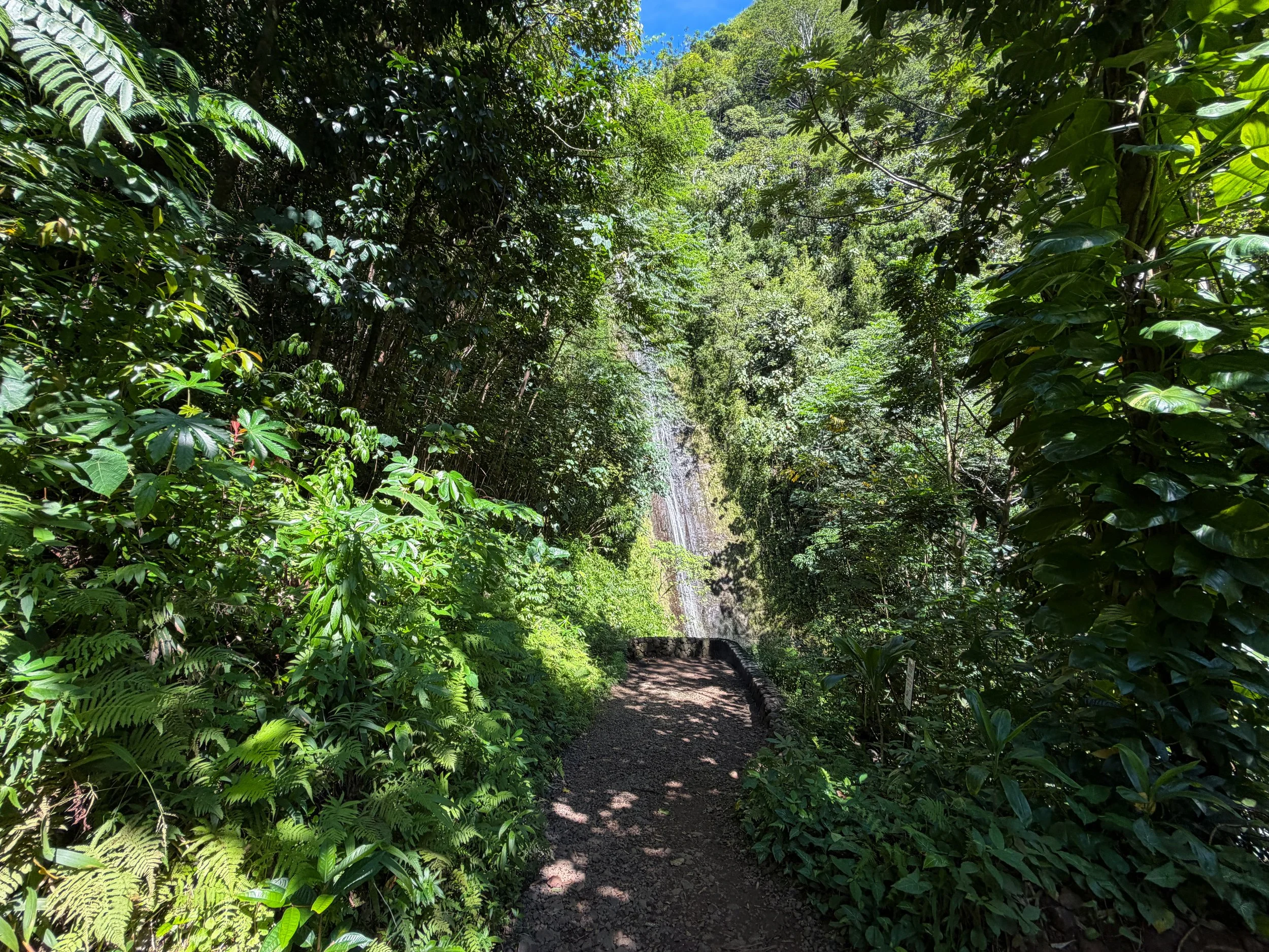 Manoa Falls Oahu Hawaii