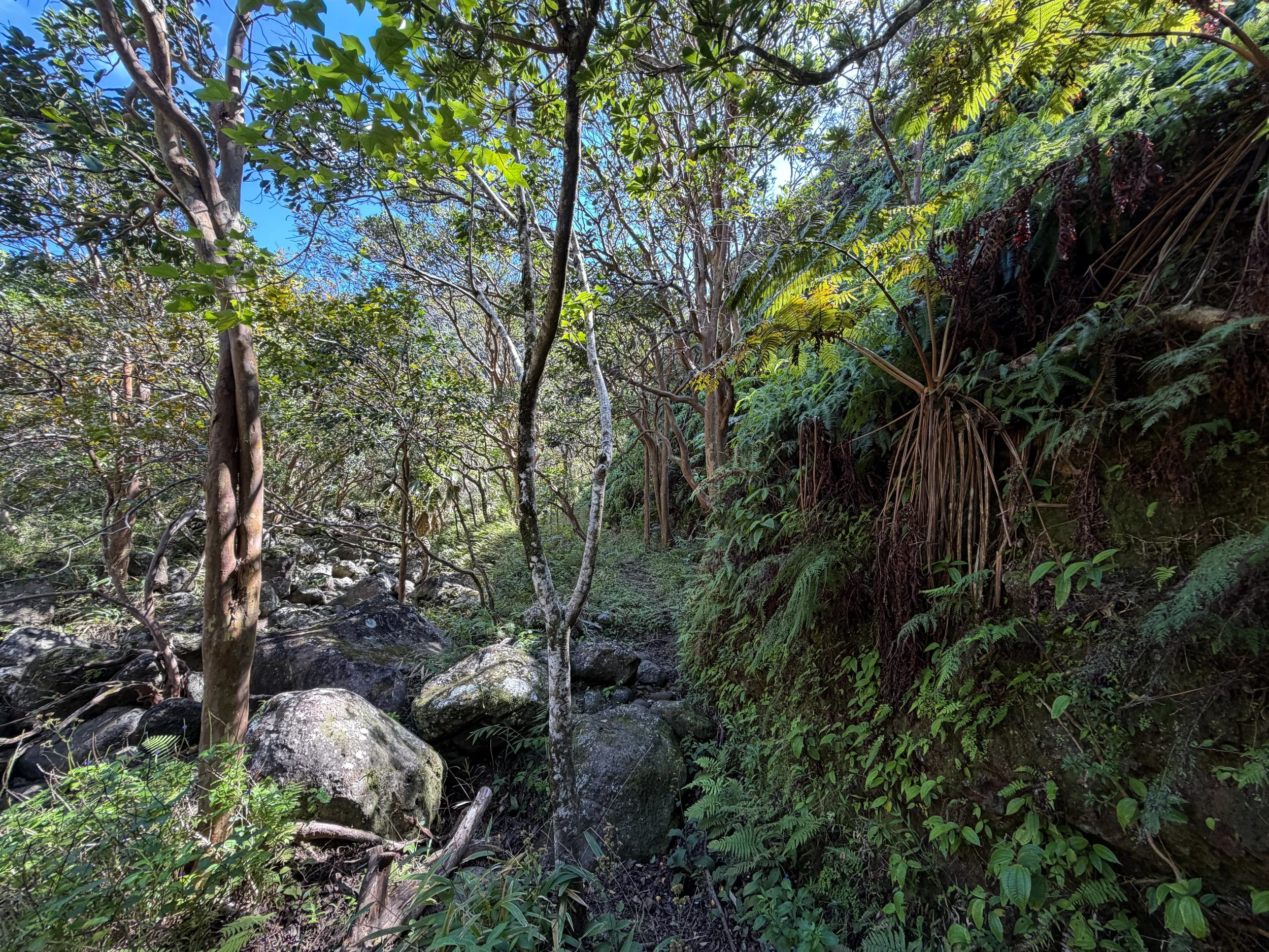 Kulanaahane Trail Oahu Hawaii