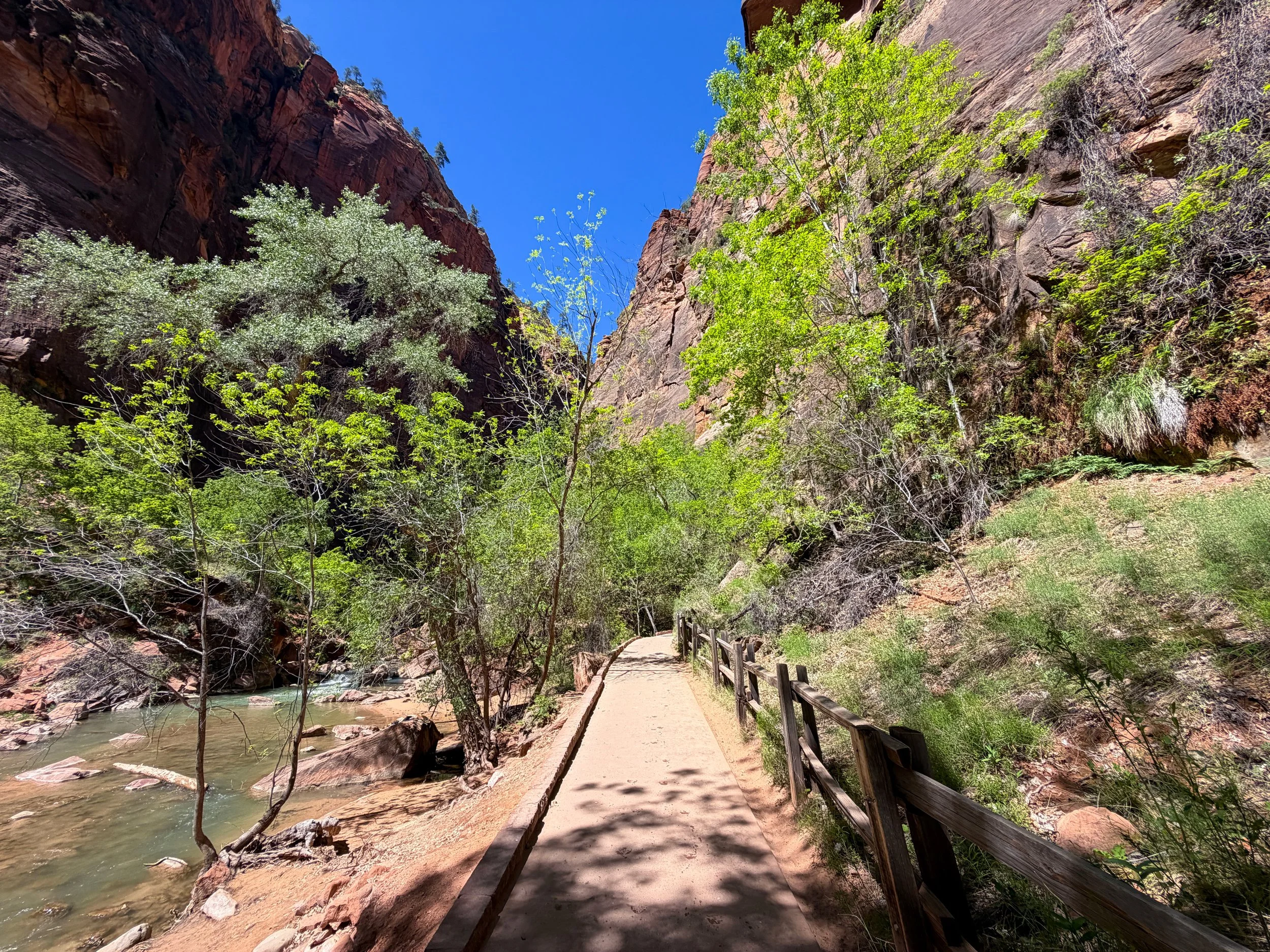 Riverside Walk Zion National Park Utah