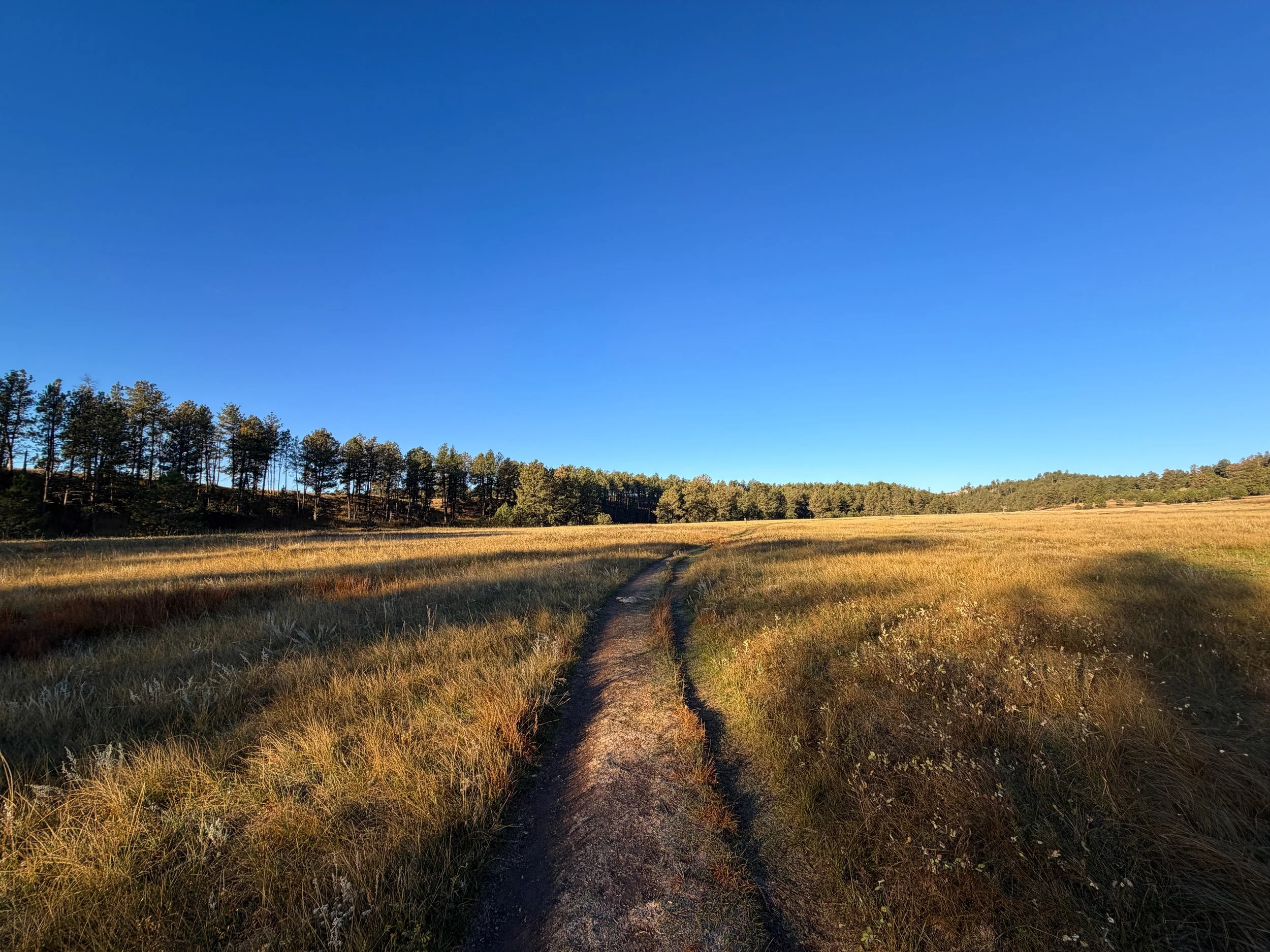 Cold Brook Canyon Trail Wind Cave National Park South Dakota