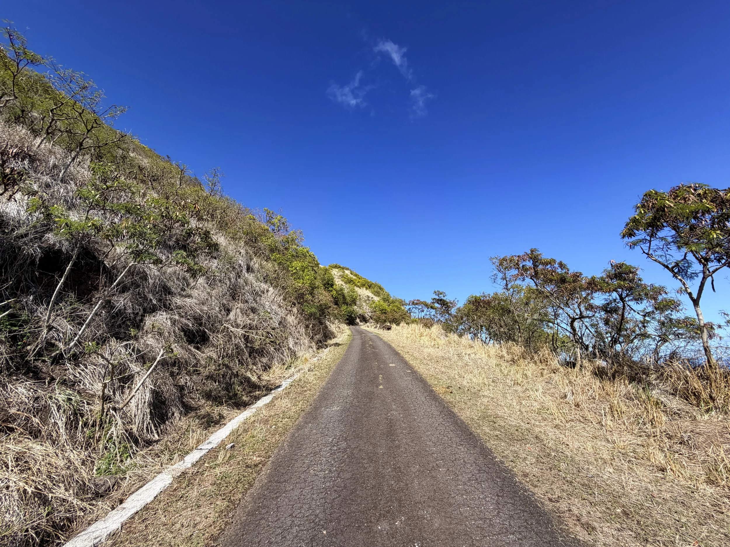 Mokuleia Forest Reserve Access Road Hike Oahu Hawaii