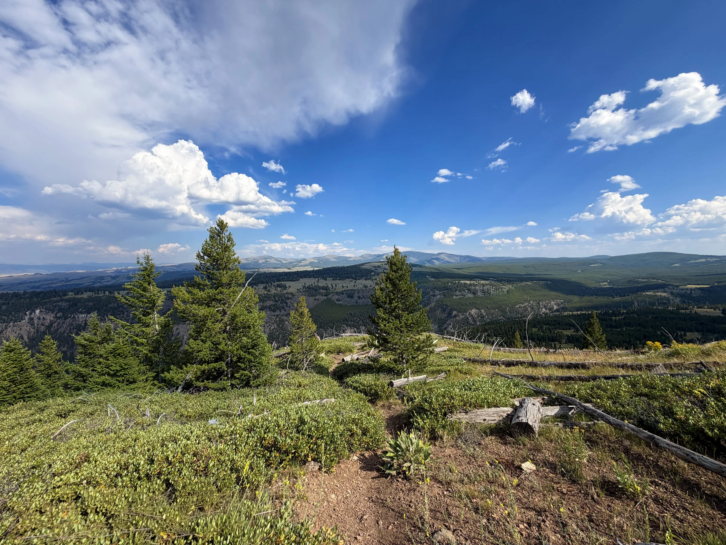 Bunsen Peak Trail Yellowstone National Park Wyoming