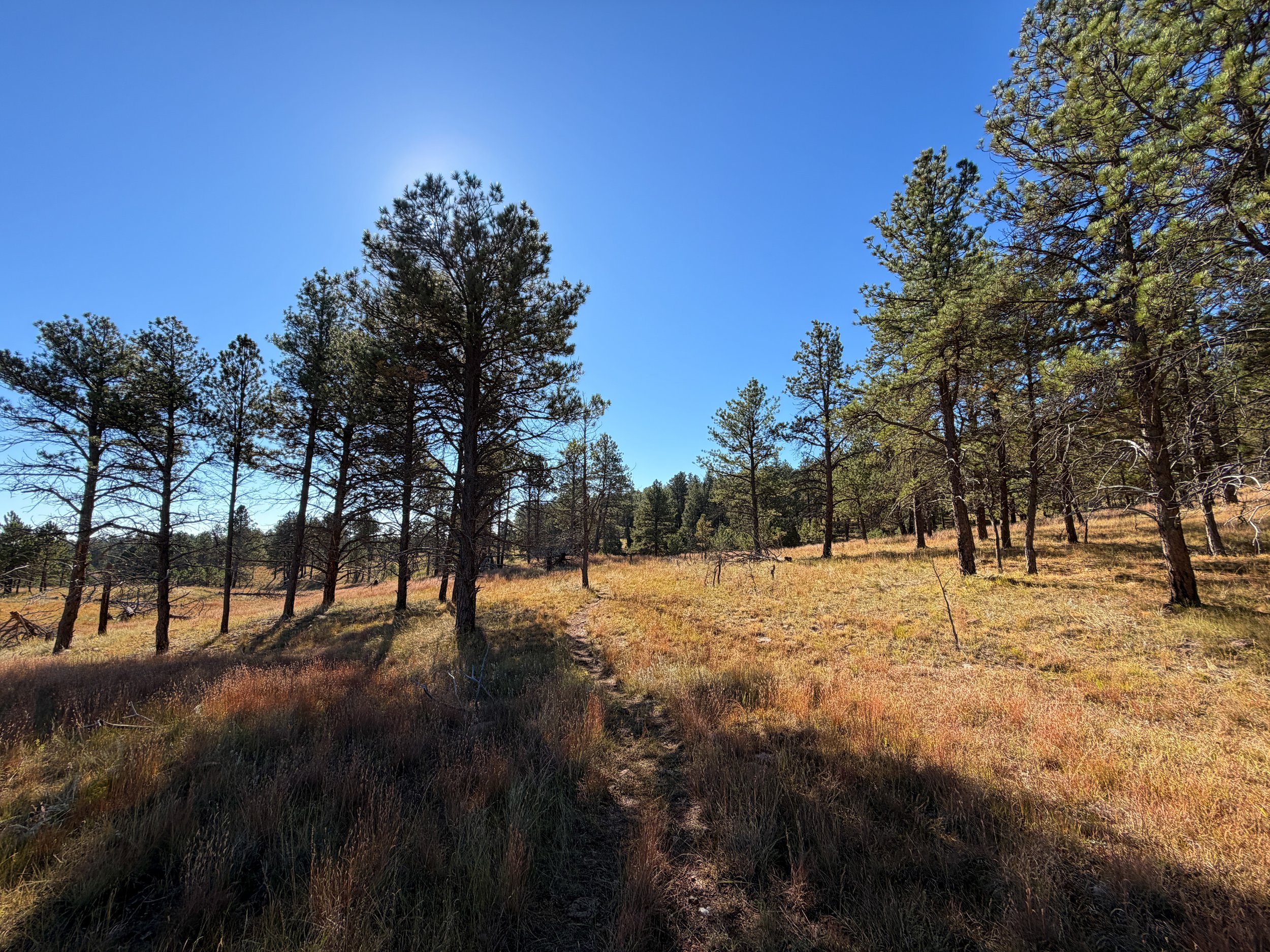 Sanctuary Trail Wind Cave National Park South Dakota
