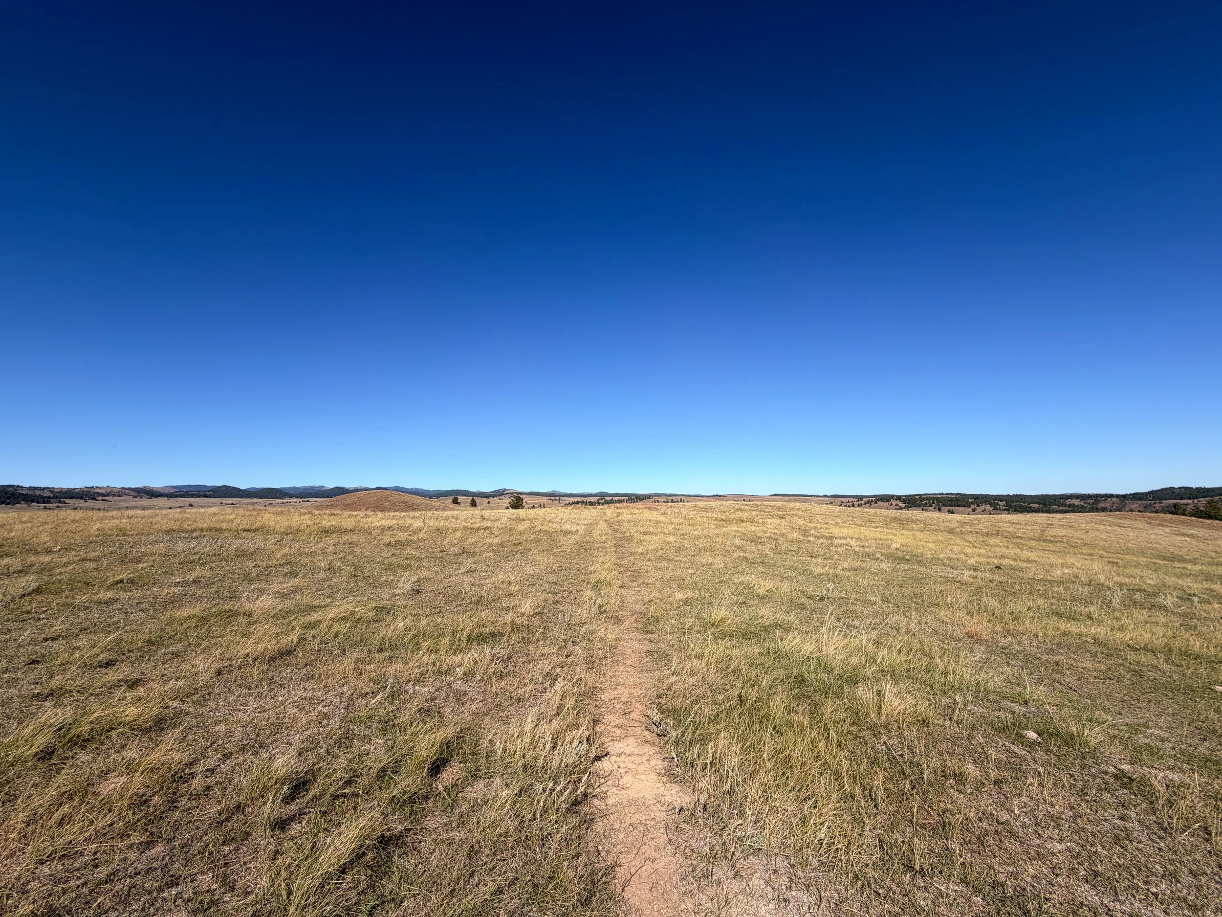 East Bison Flats Trail Wind Cave National Park South Dakota