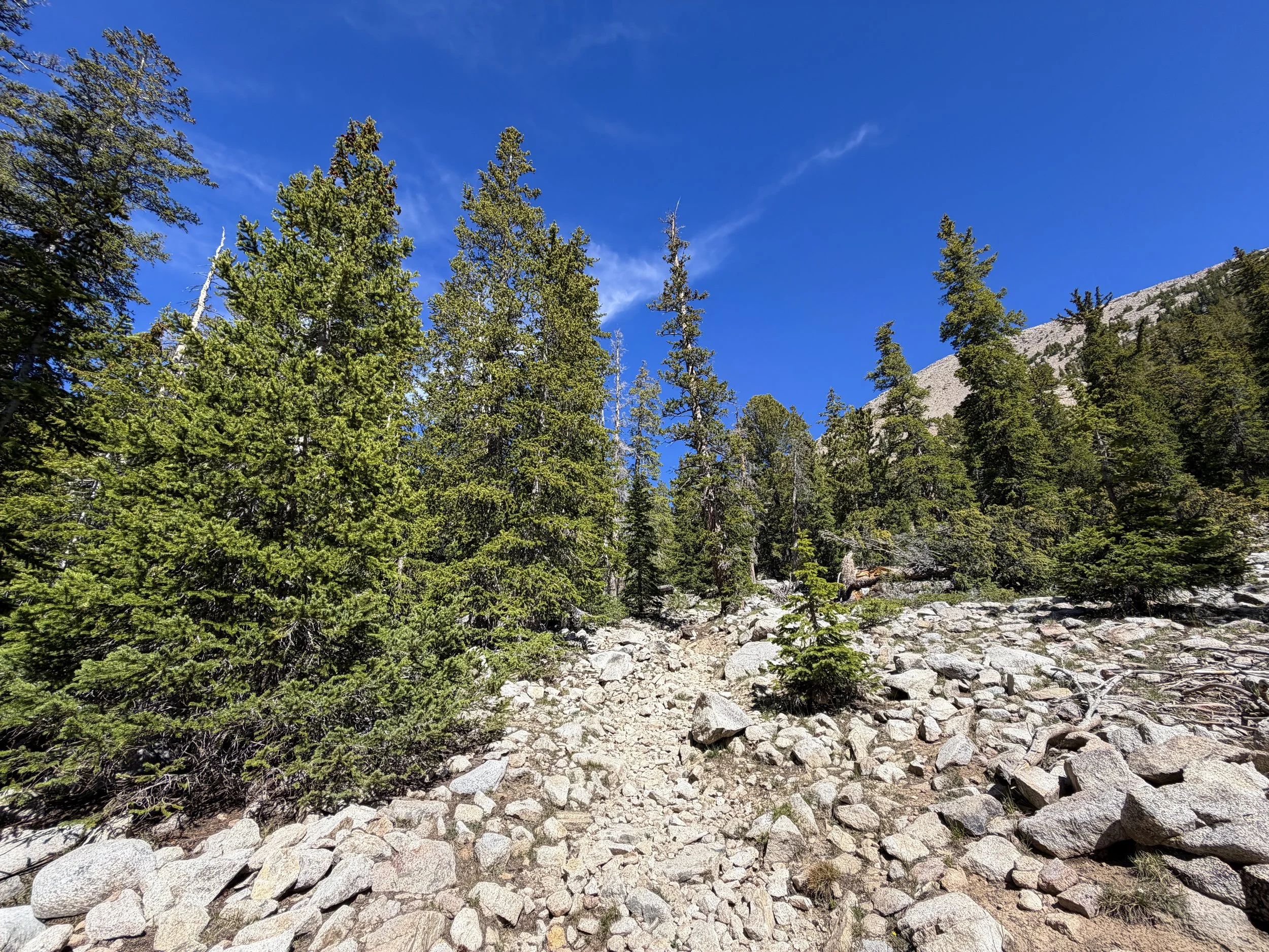 Johnson Lake Trail Great Basin National Park Nevada