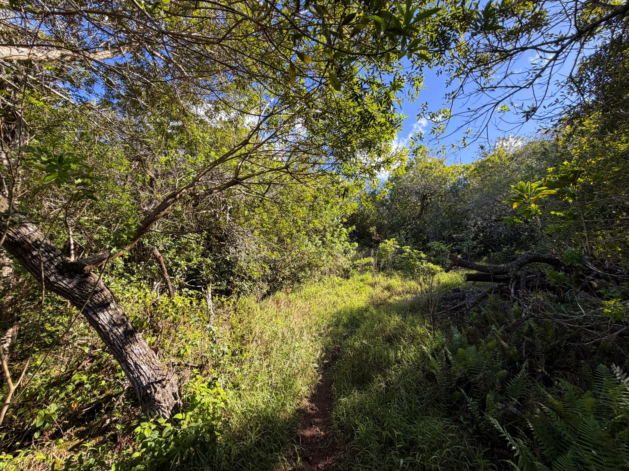 Mokuleia Trail Oahu Hawaii