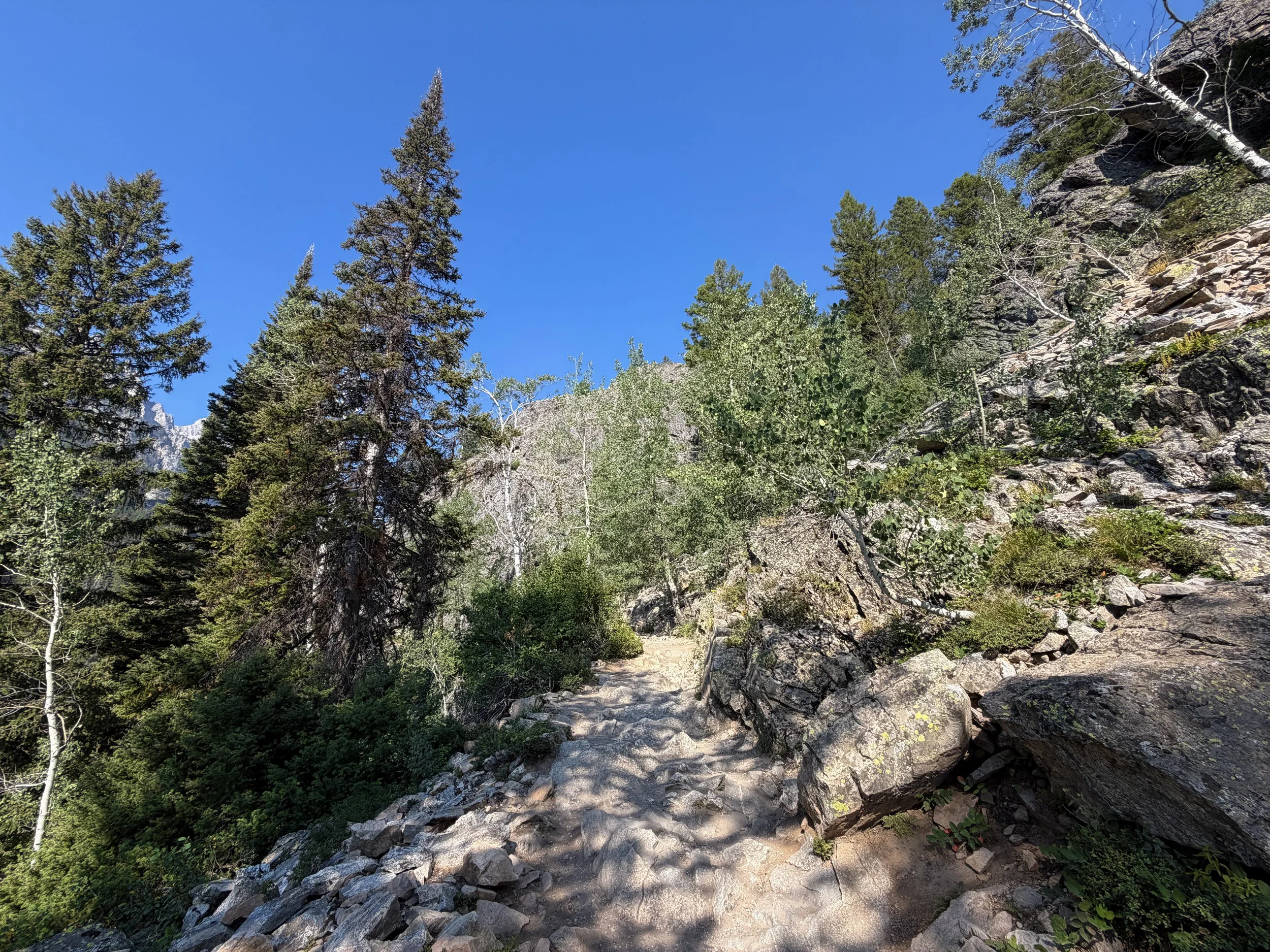 Inspiration Point Hike Grand Teton National Park Wyoming