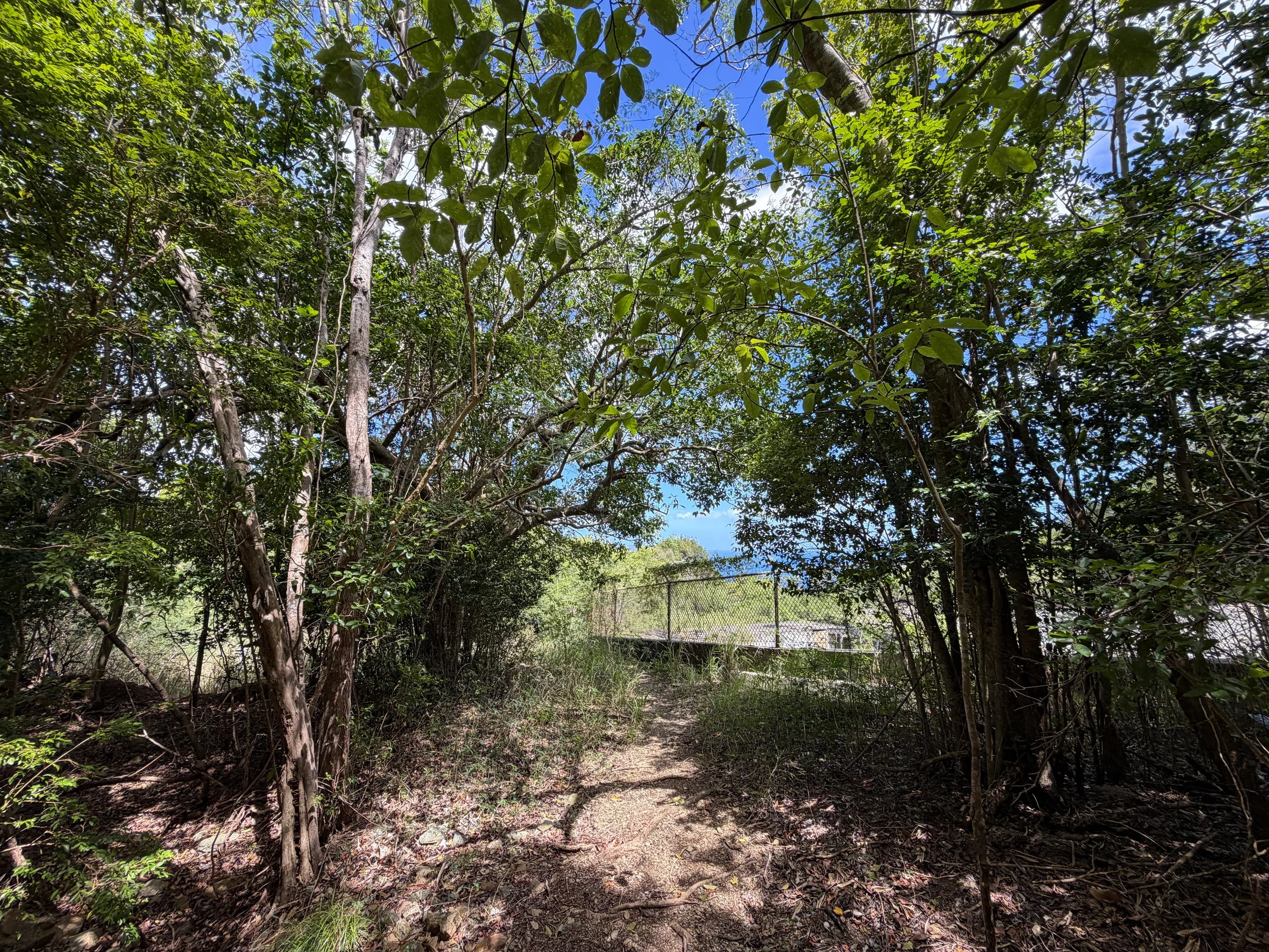 Water Catchment Trail Virgin Islands National Park