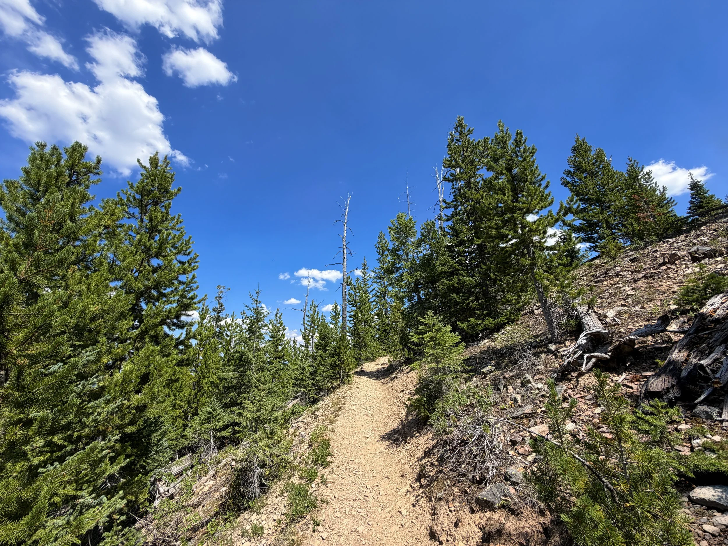 Bunsen Peak Trail Yellowstone National Park Wyoming