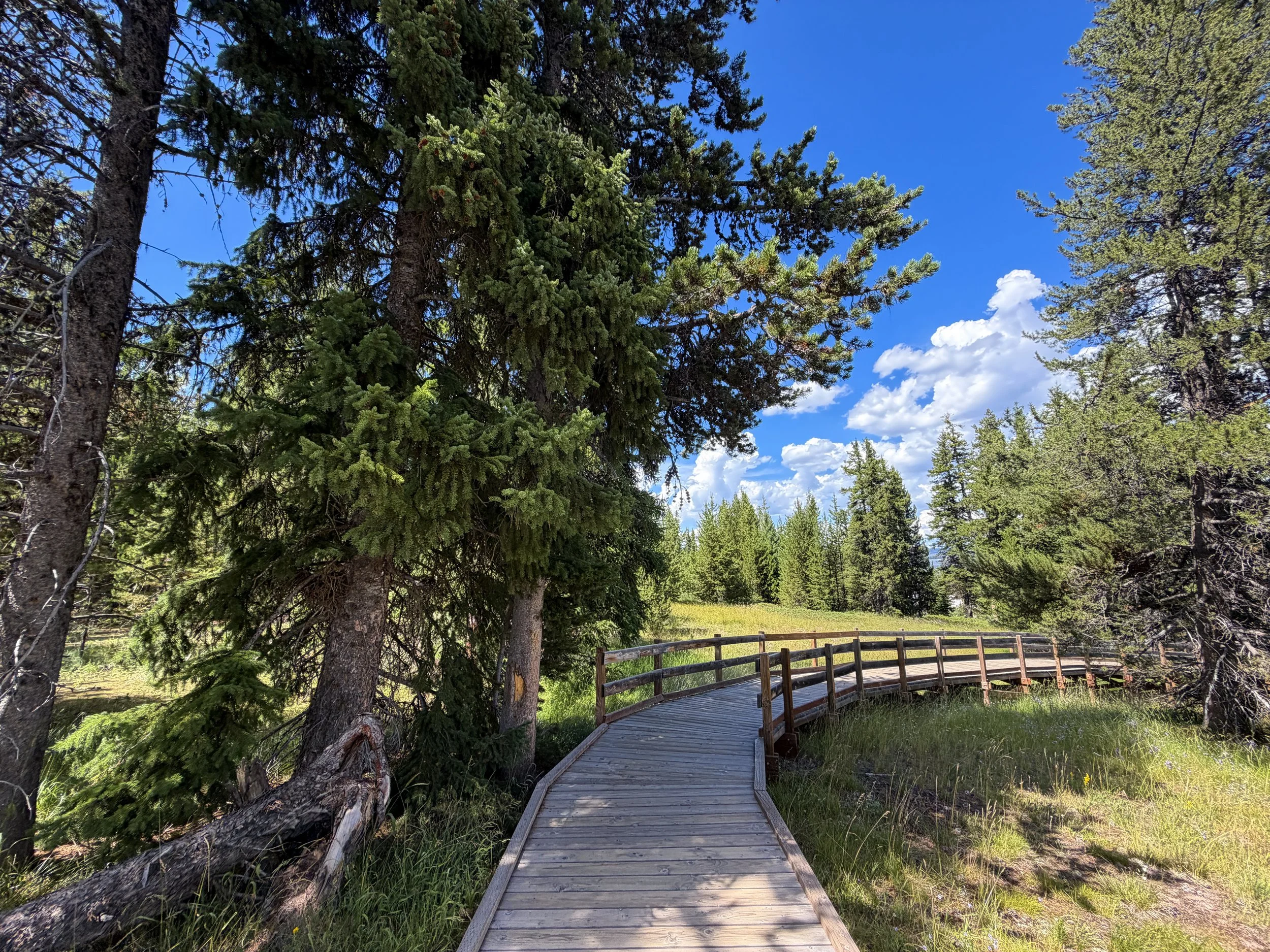 West Thumb Geyser Basin Trail Yellowstone National Park Wyoming
