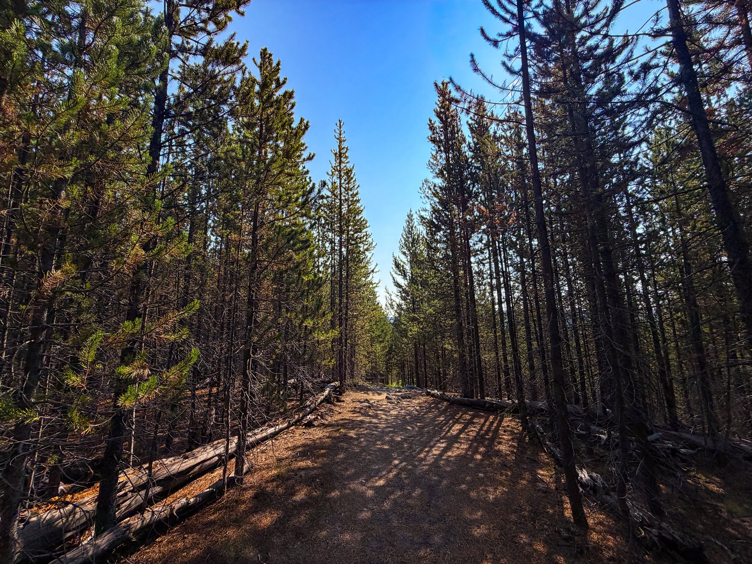 Mystic Falls Trail Yellowstone National Park Wyoming