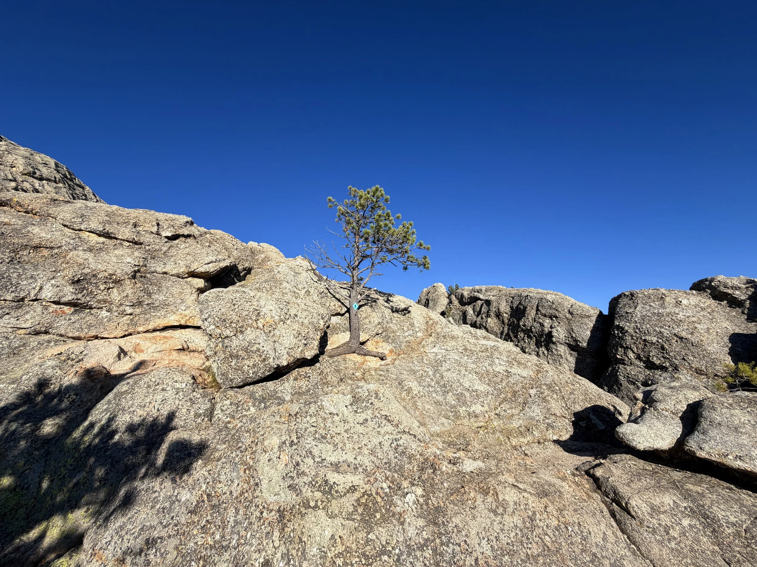 Little Devils Tower Trail Custer State Park Black Hills South Dakota