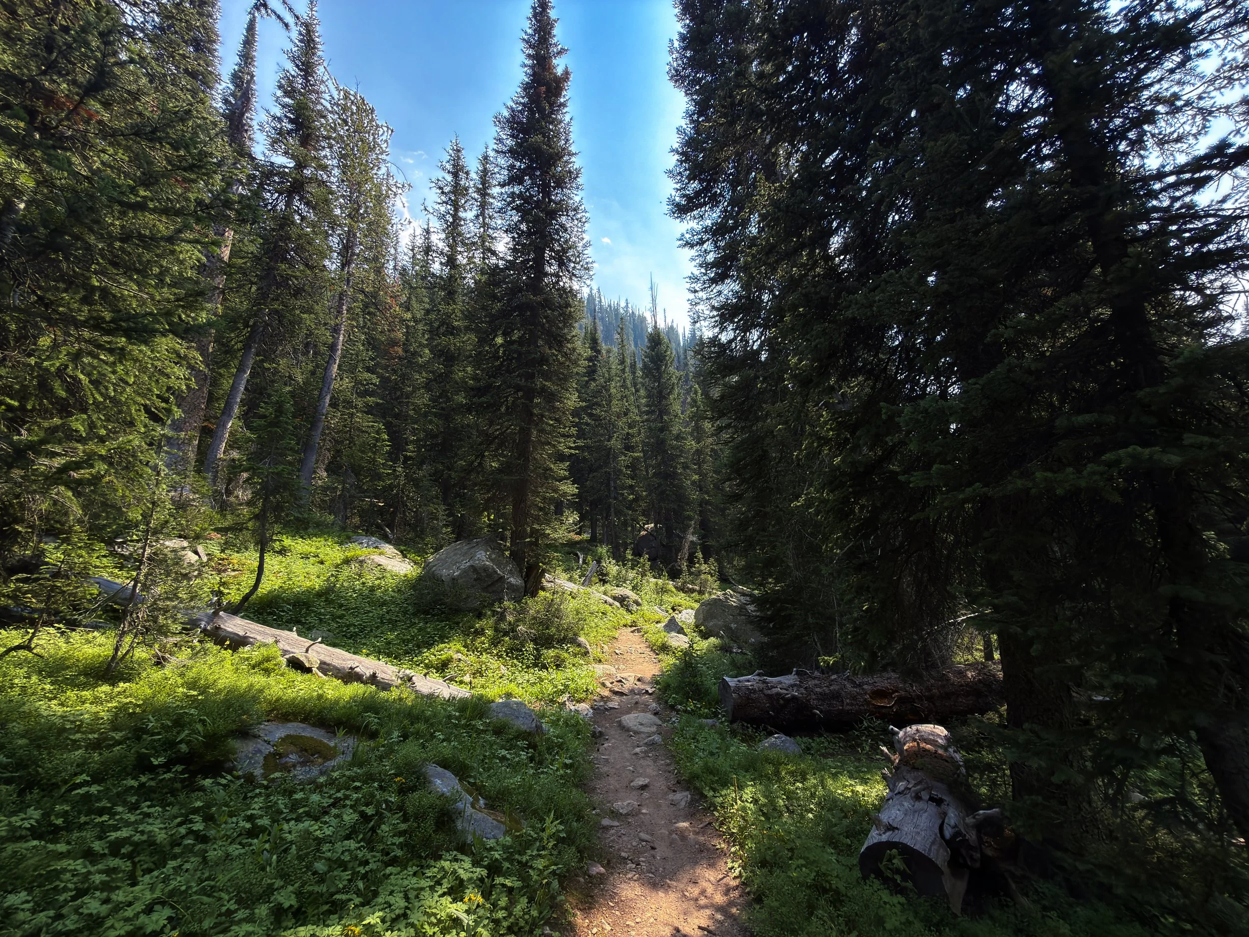 Russell Creek Trail The Beaten Path Beartooth Mountains Montana