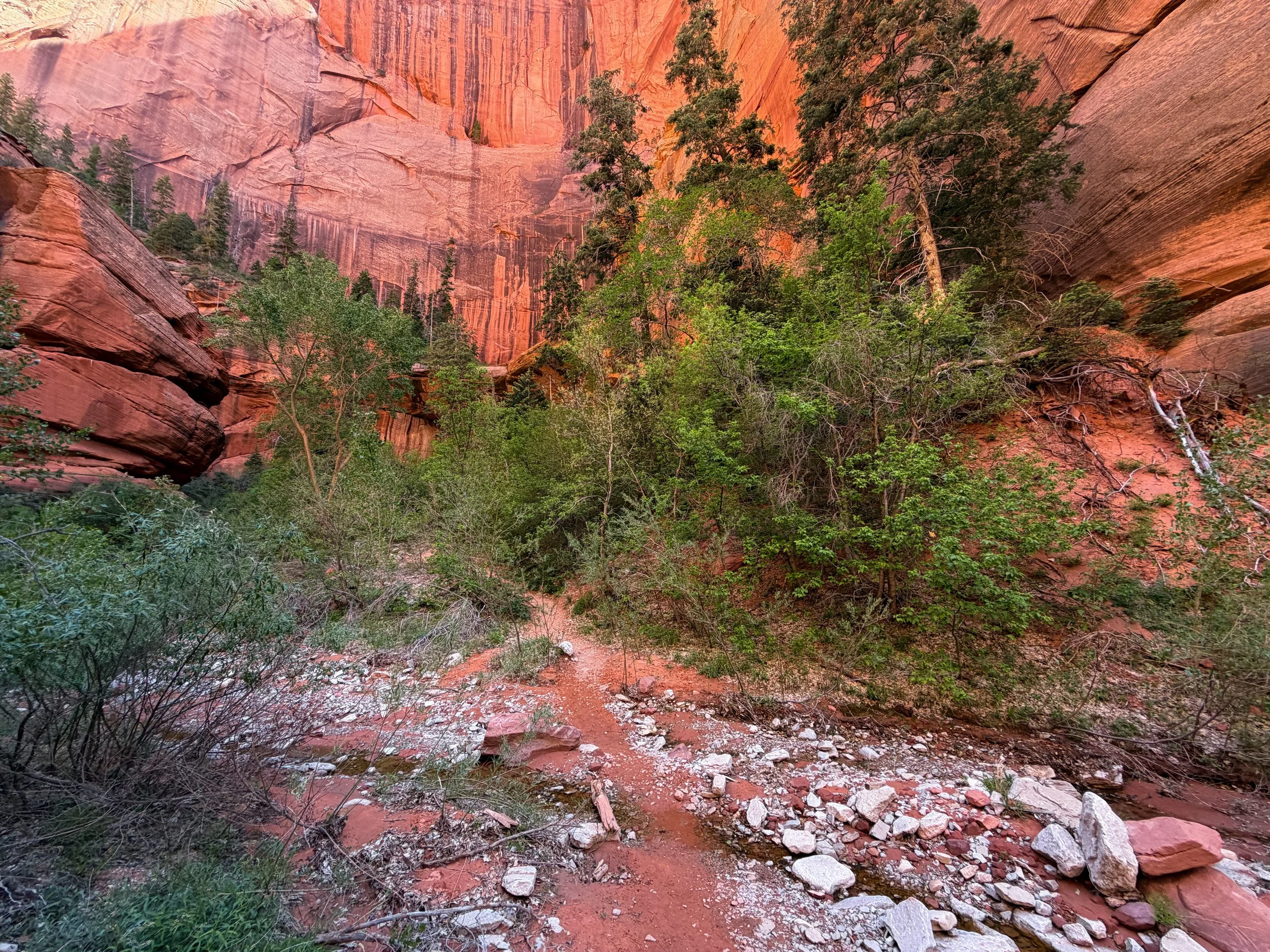 Taylor Creek Trail Zion National Park Utah