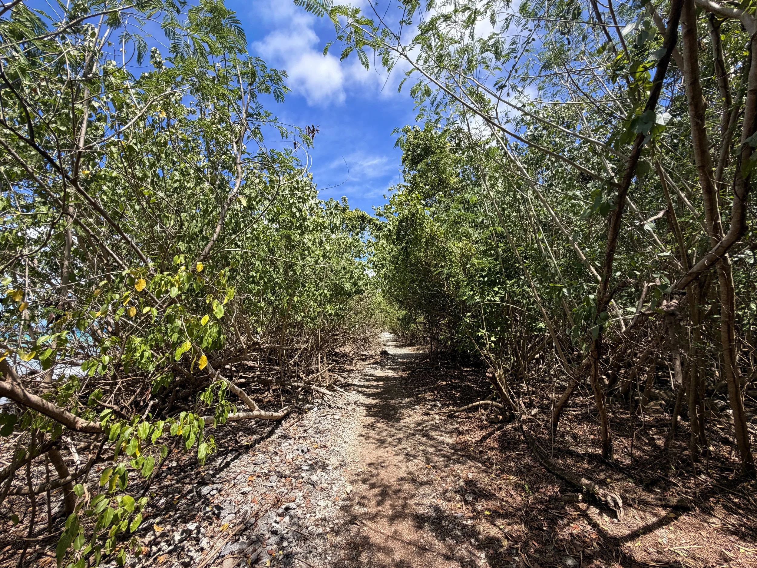 Leinster Bay Trail Virgin Islands National Park