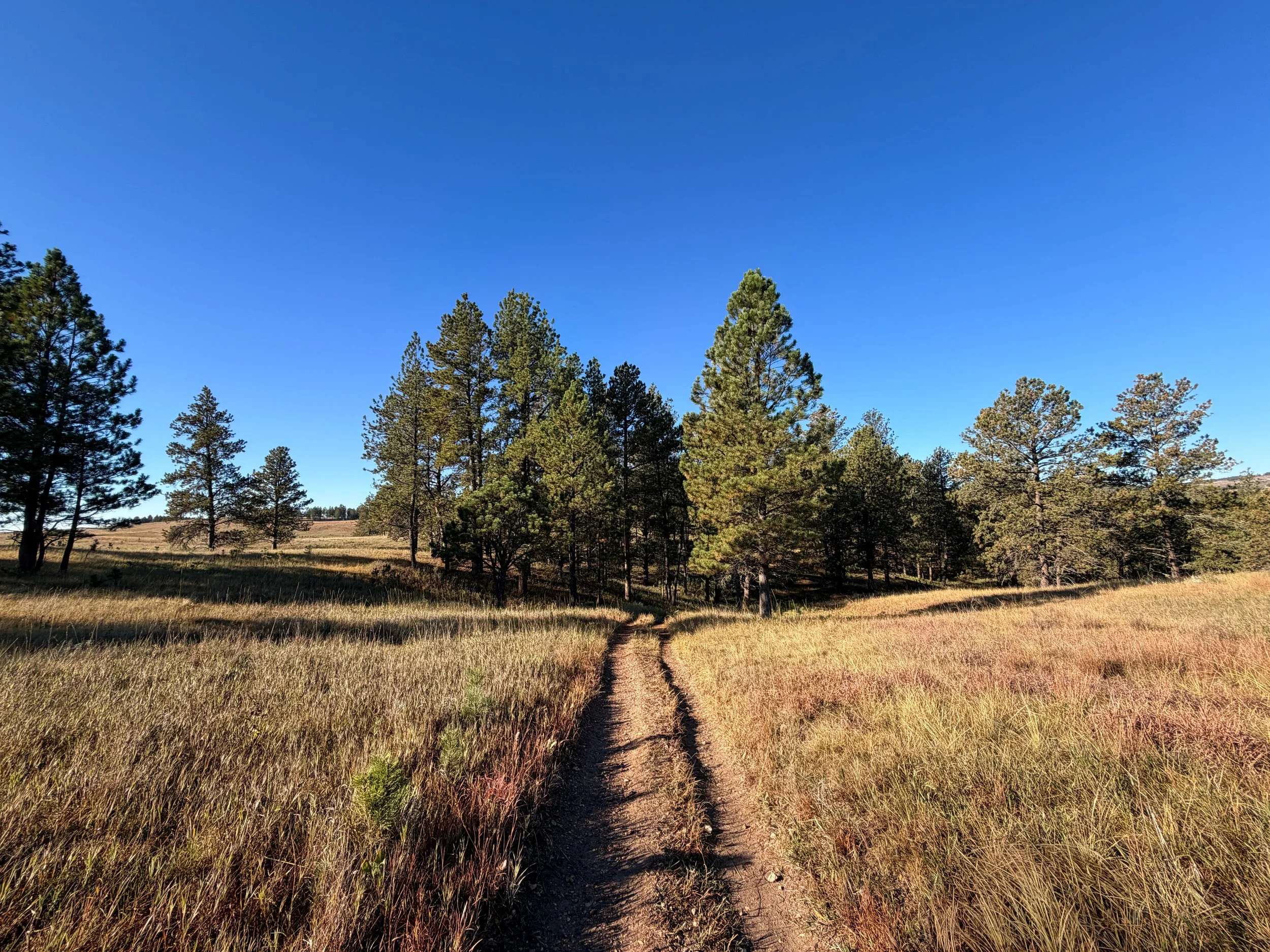 Cold Brook Canyon Trail Wind Cave National Park South Dakota