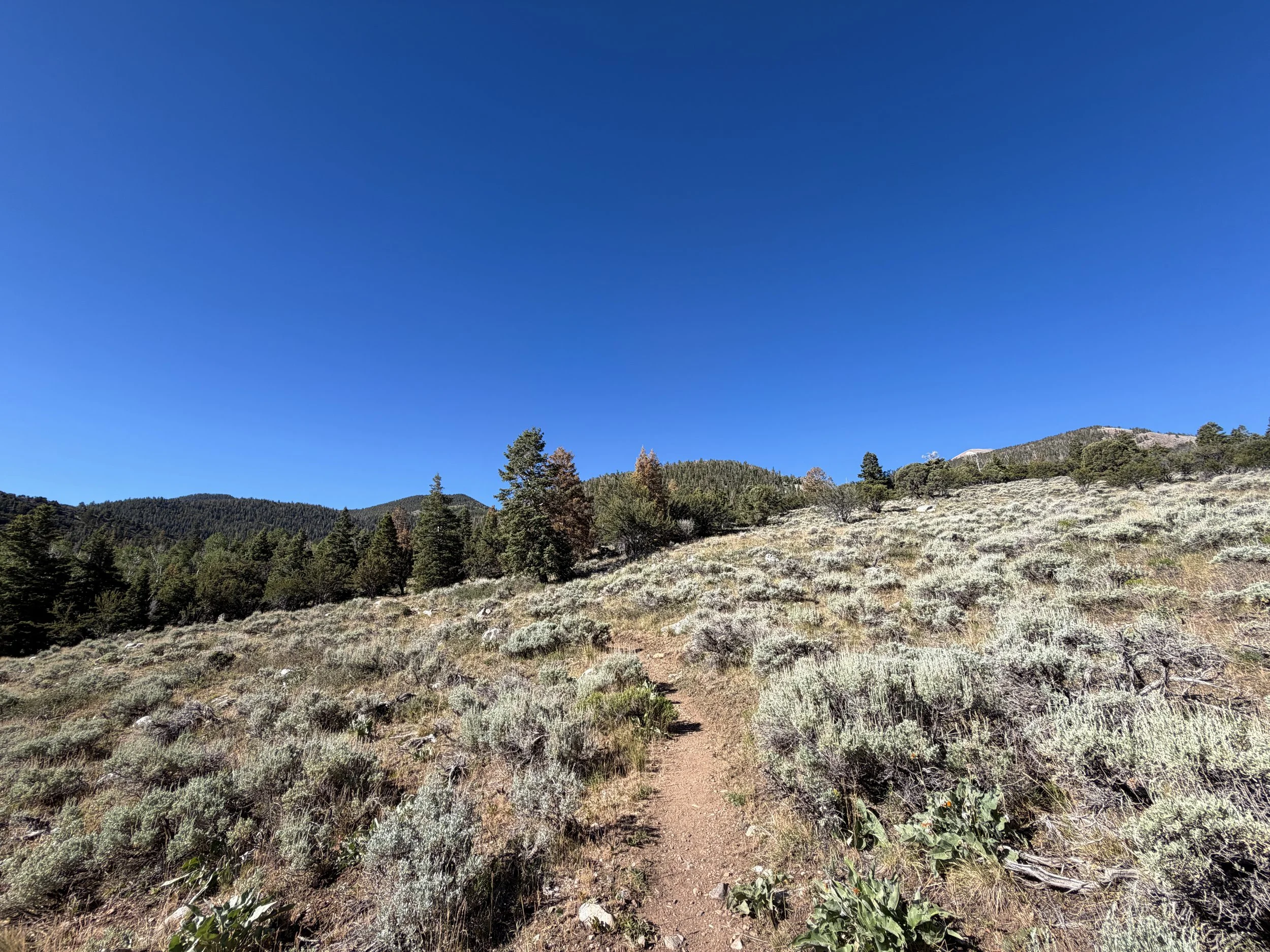 Baker Lake Hike Great Basin National Park Nevada