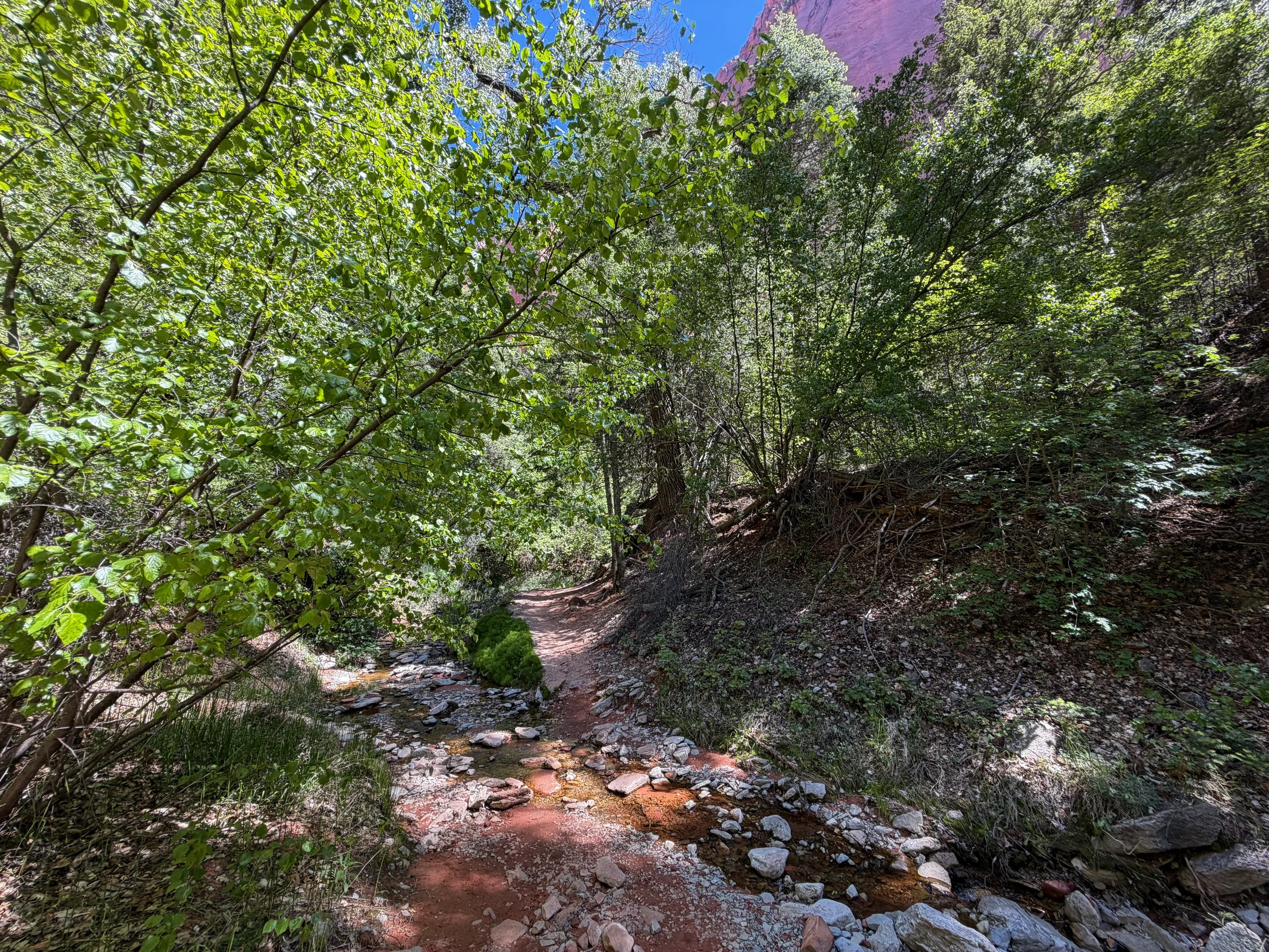 Taylor Creek Trail Zion National Park Utah