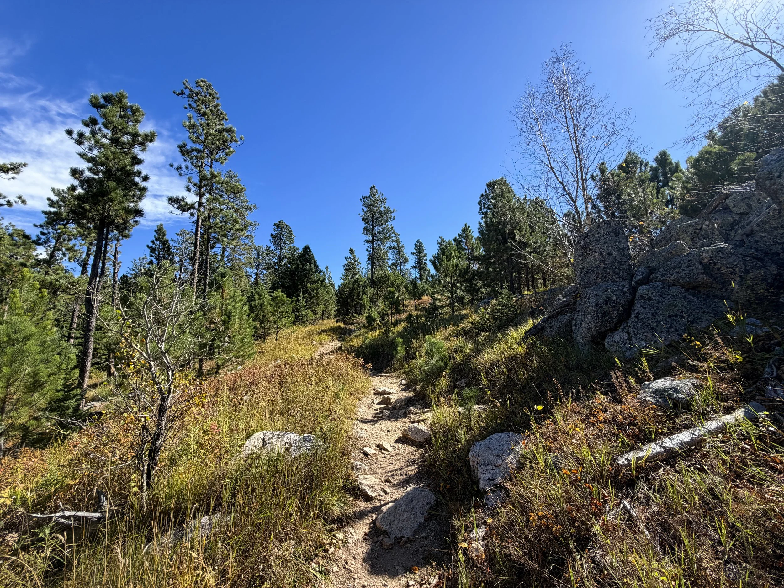 Sunday Gulch Trail Custer State Park Black Hills South Dakota
