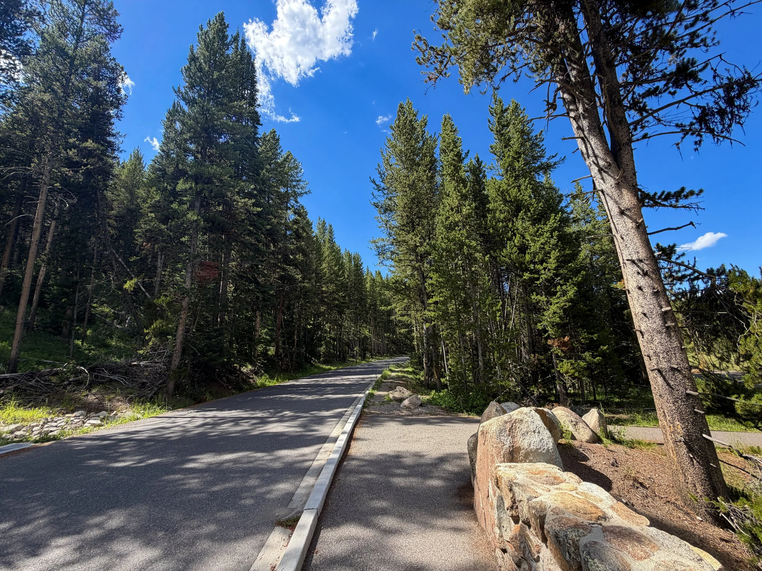 North Rim Trail Yellowstone National Park Wyoming