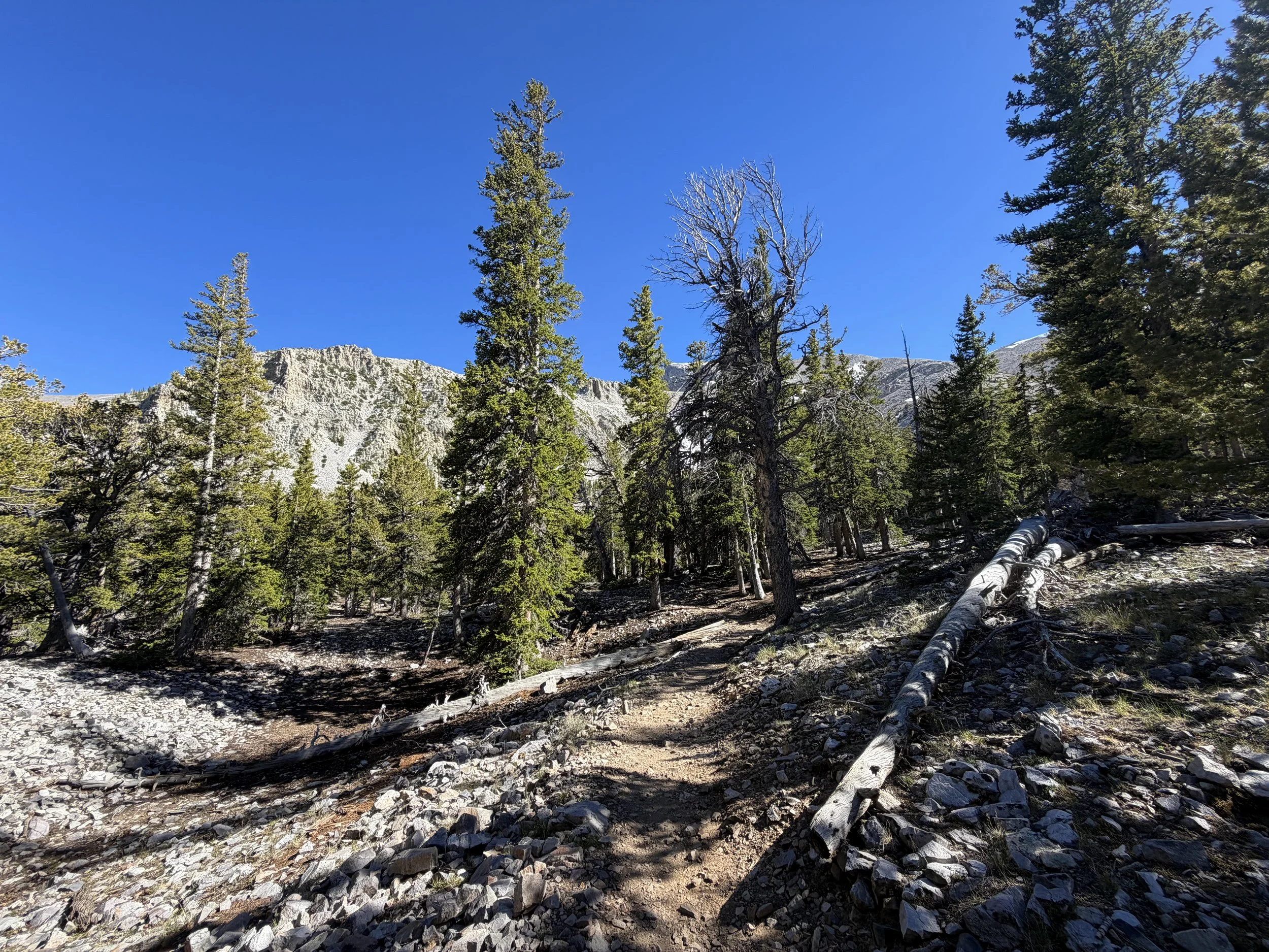 Alpine Lakes Loop Trail Great Basin National Park Nevada