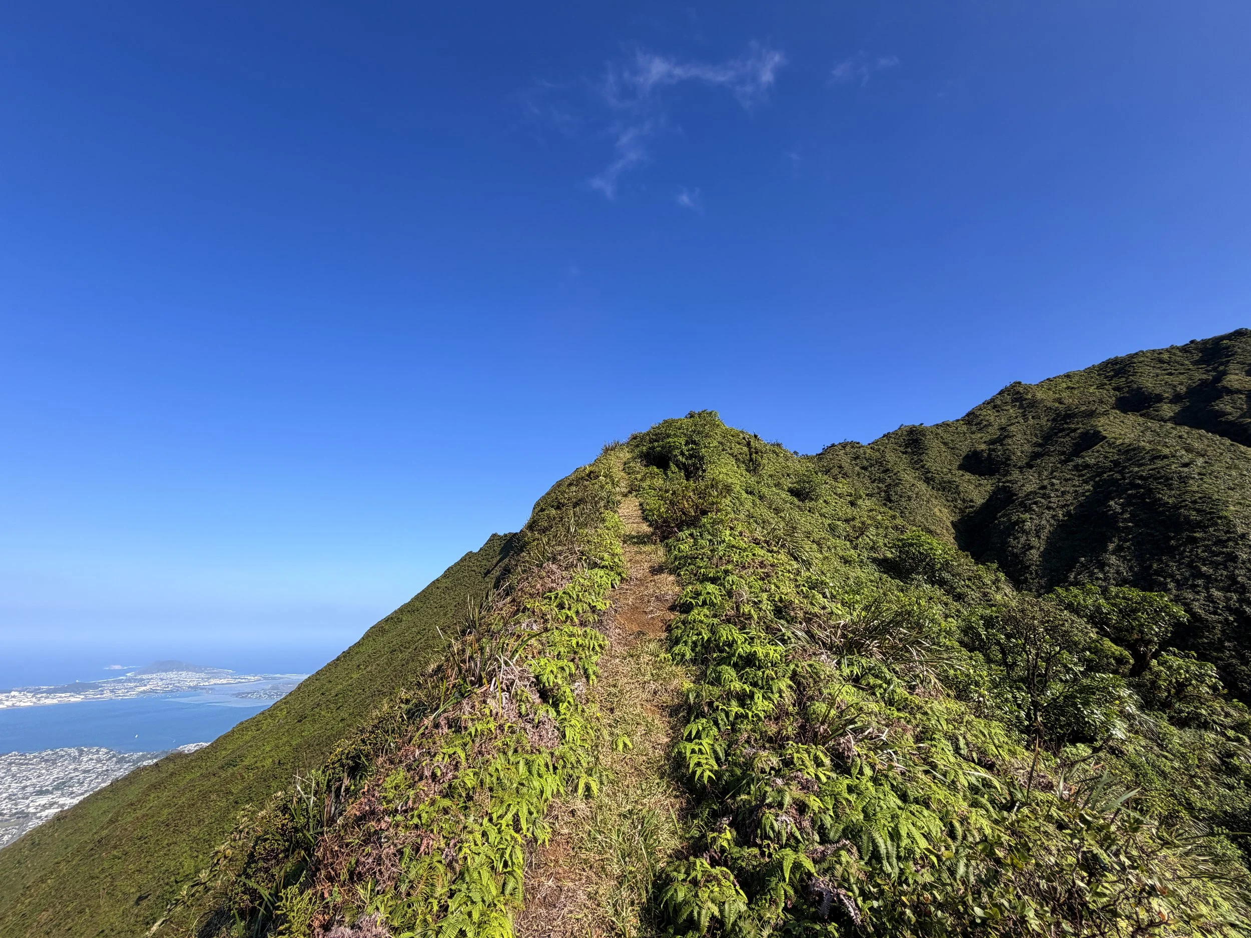 Moanalua Saddle to Stairway to Heaven Koolau Summit Trail Oahu Hawaii