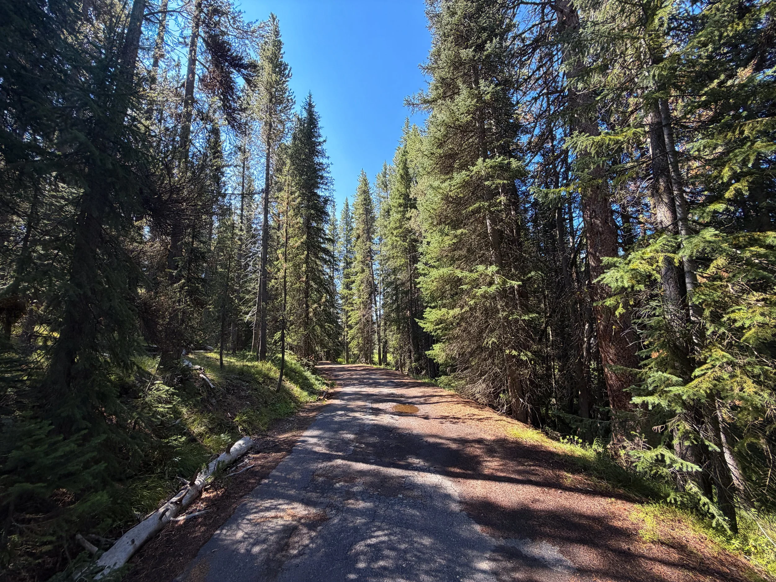 Lone Star Geyser Trail Yellowstone National Park Wyoming