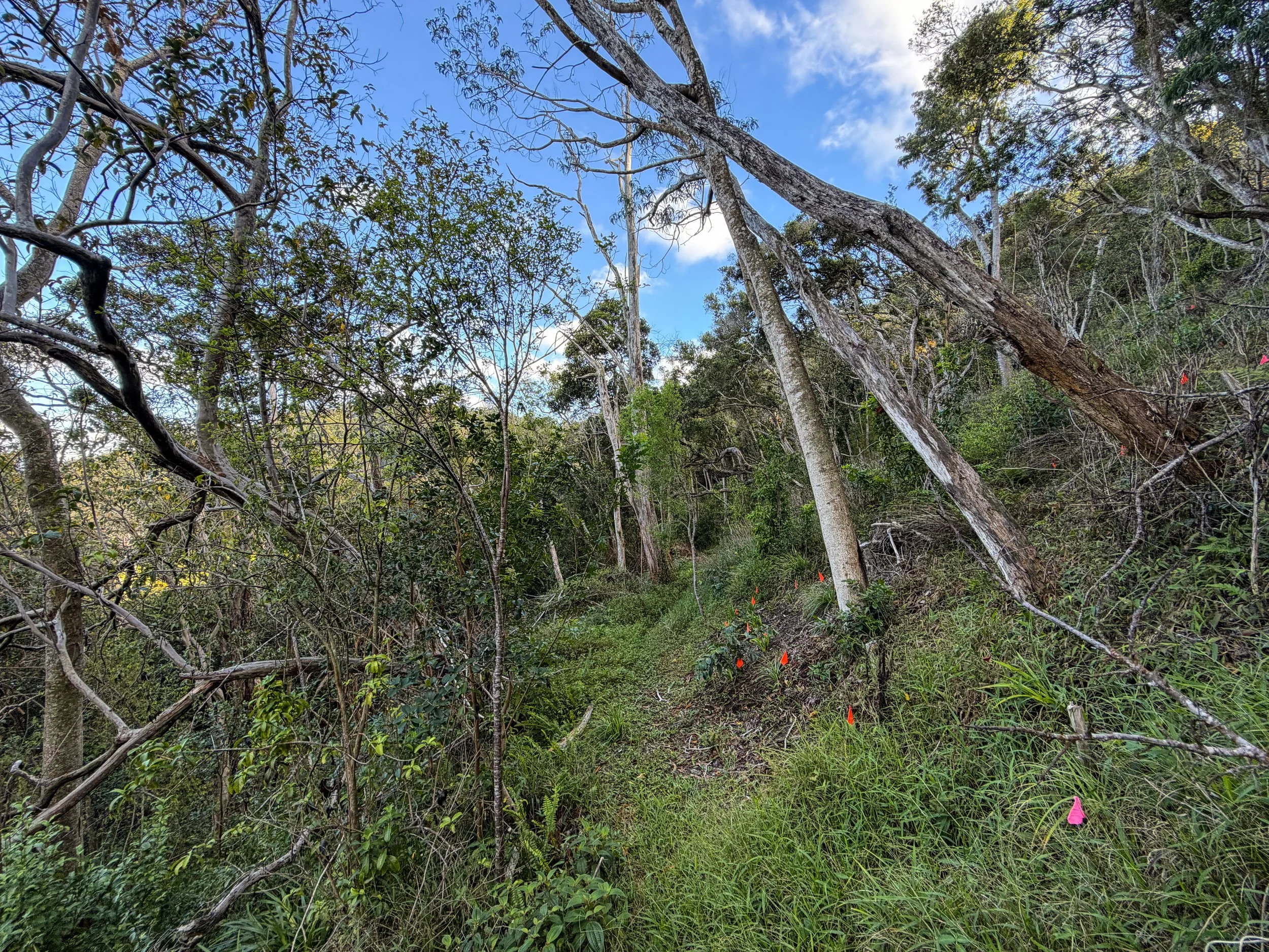Mokuleia Trail Oahu Hawaii