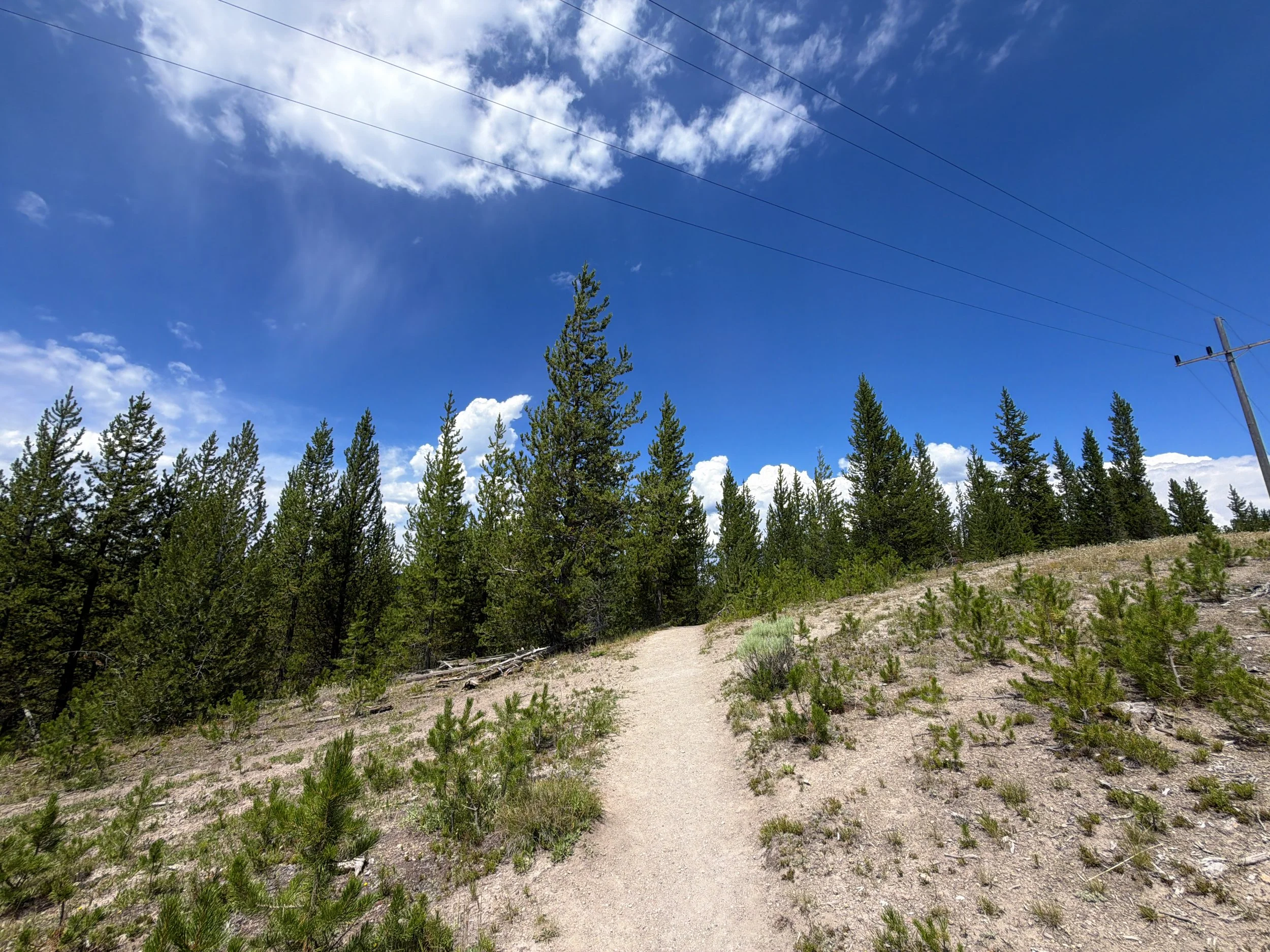 Duck Lake Hike Yellowstone National Park Wyoming