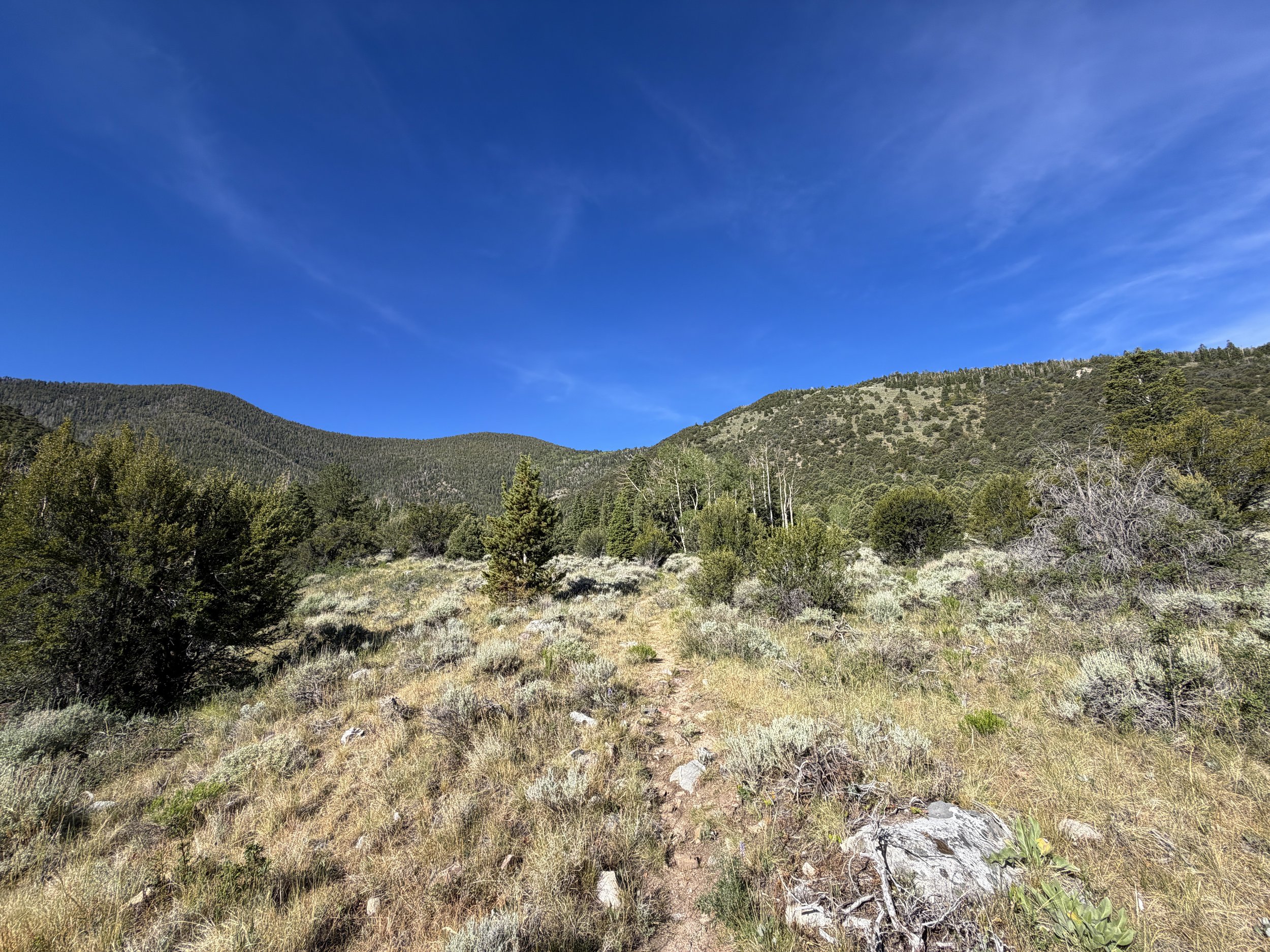 Pole Canyon Loop Trail Great Basin National Park Nevada