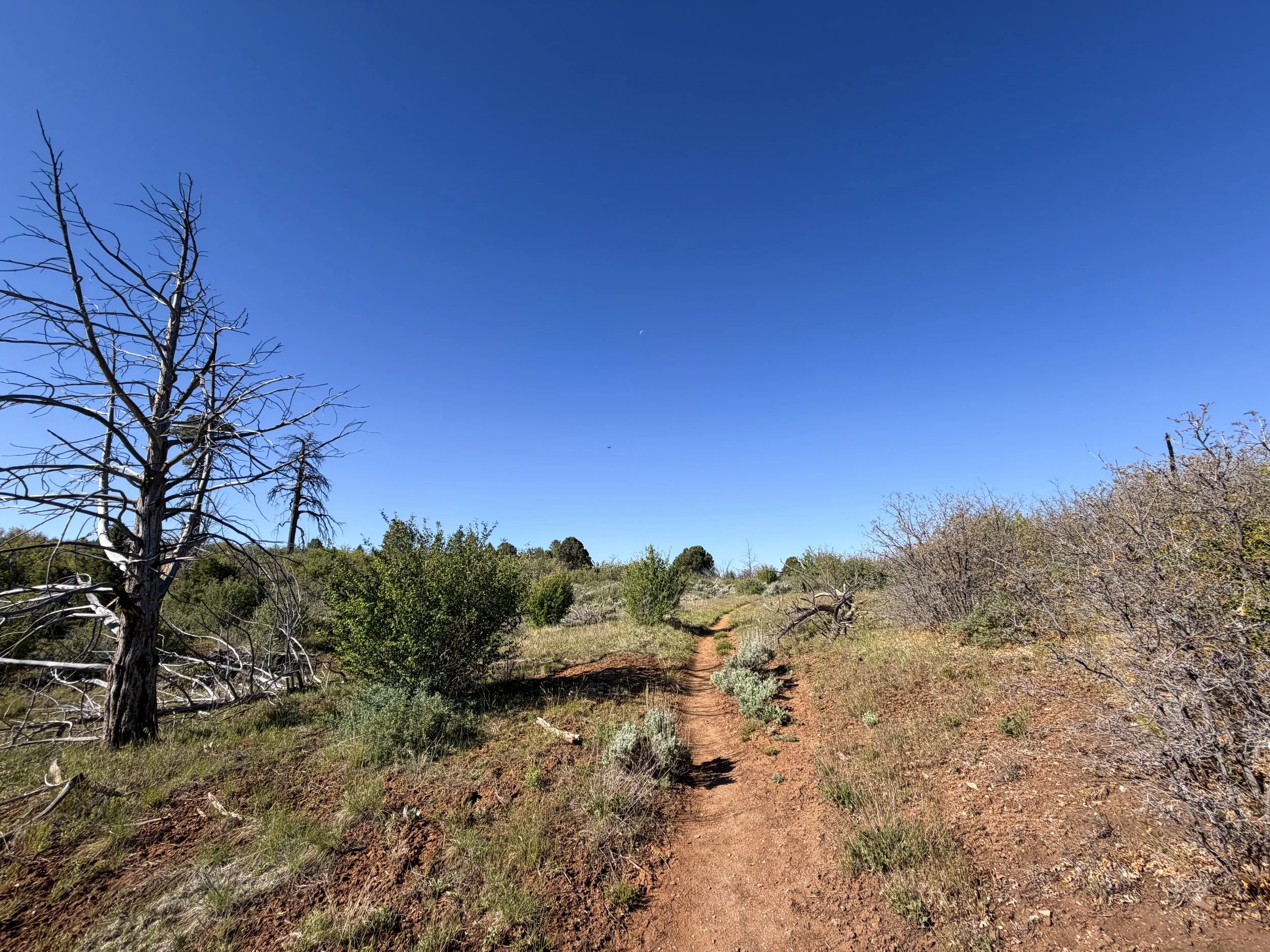 Stave Spring Trail to Deertrap Mountain Zion National Park Utah