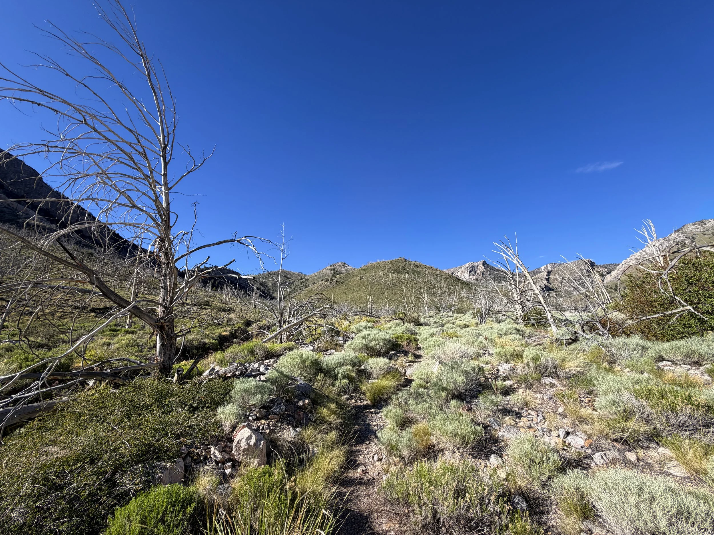 Lexington Arch Hike Great Basin National Park Nevada