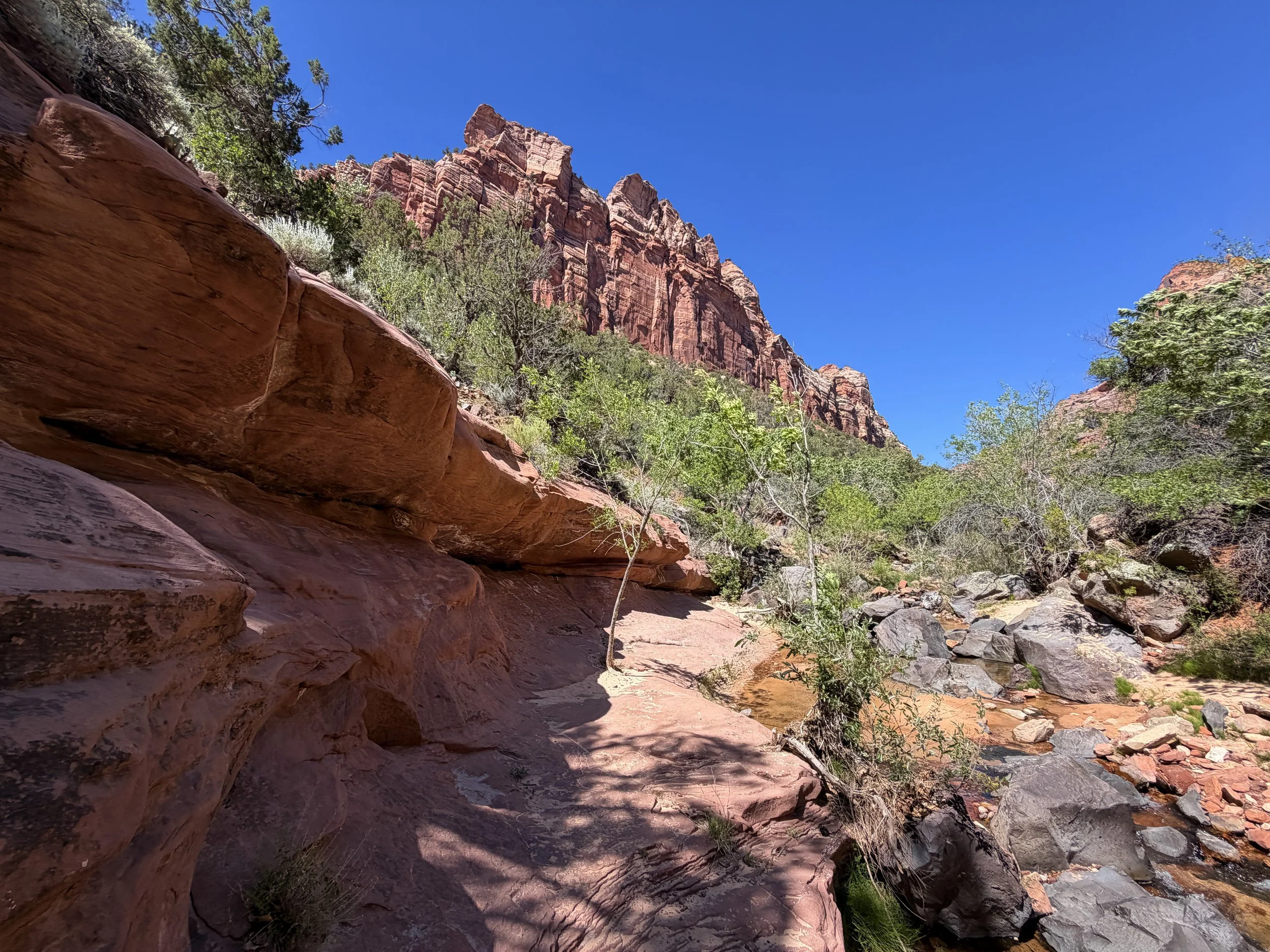 Subway Trail via Left Fork of the North Creek Zion National Park Utah