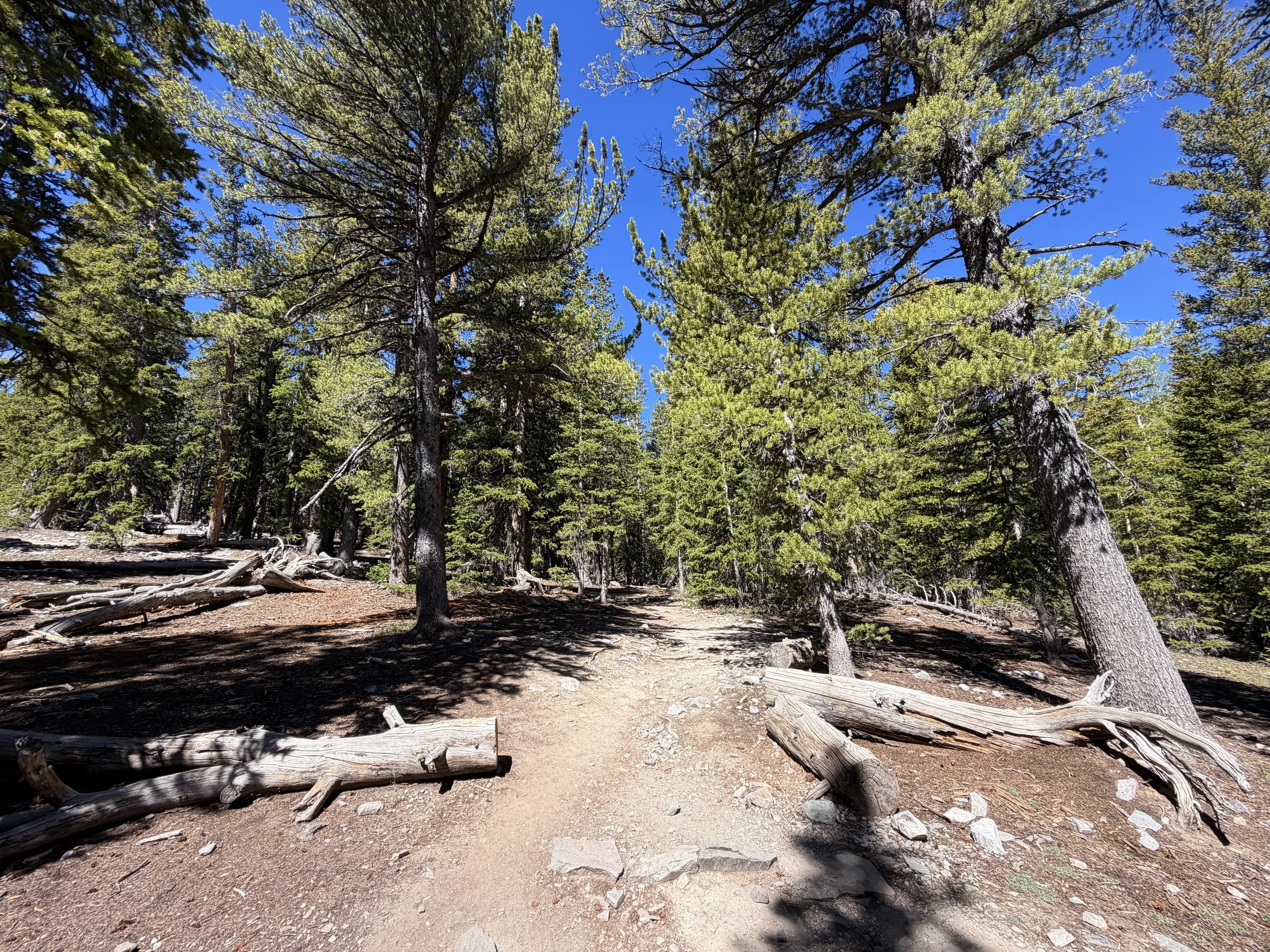 Alpine Lakes Loop Trail Great Basin National Park Nevada