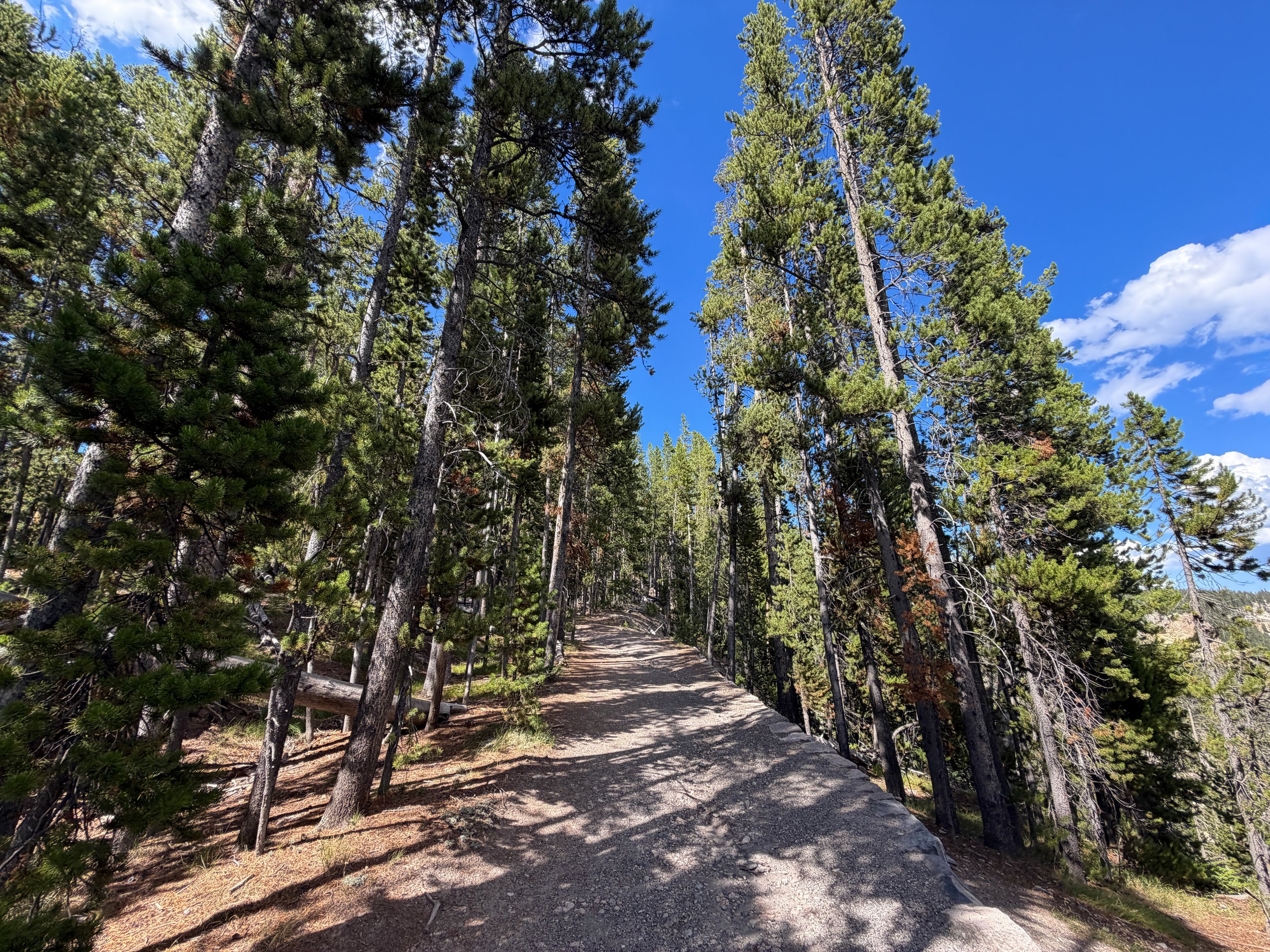 North Rim Trail Yellowstone National Park Wyoming