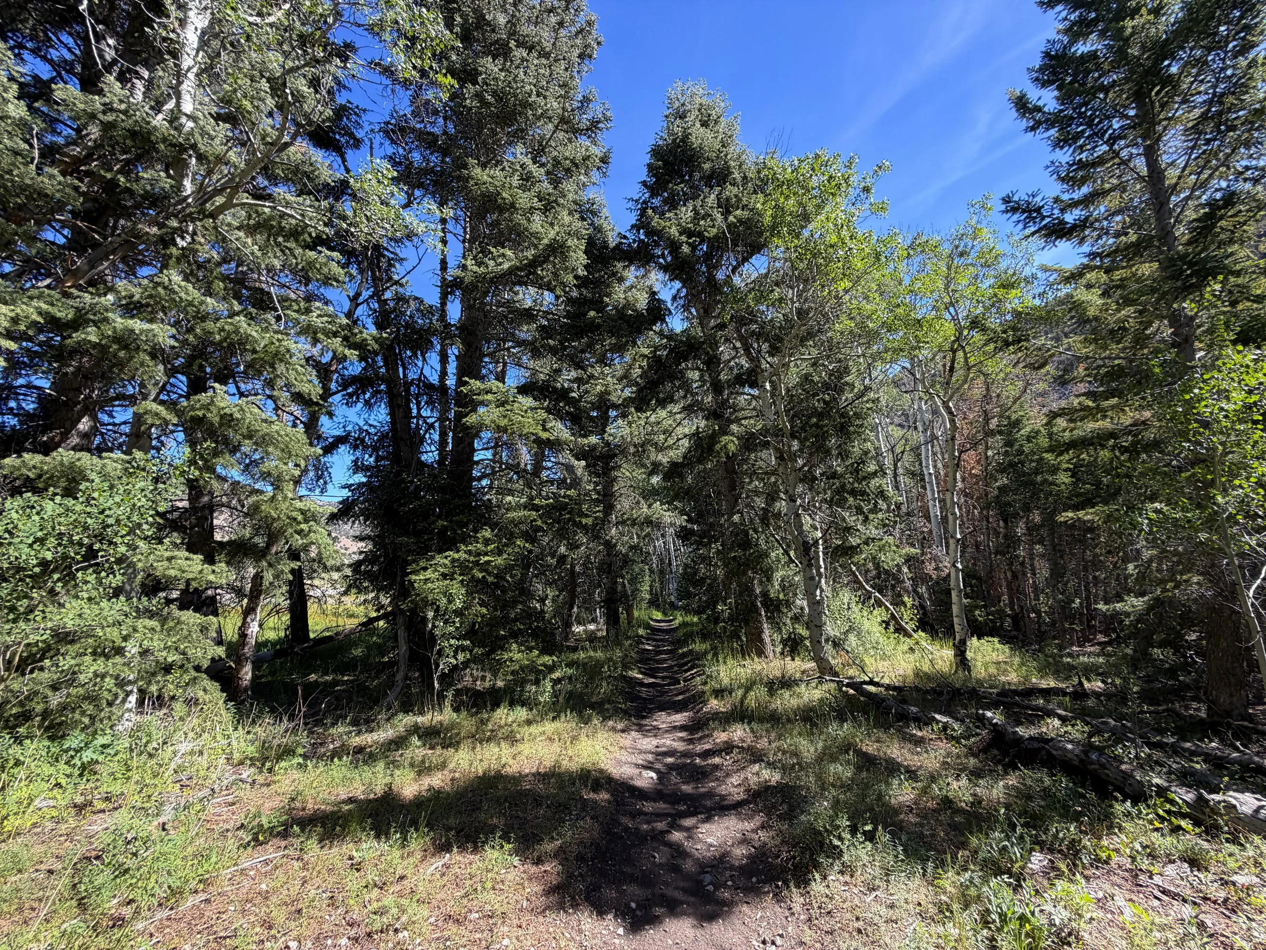 Pole Canyon Trail Great Basin National Park Nevada