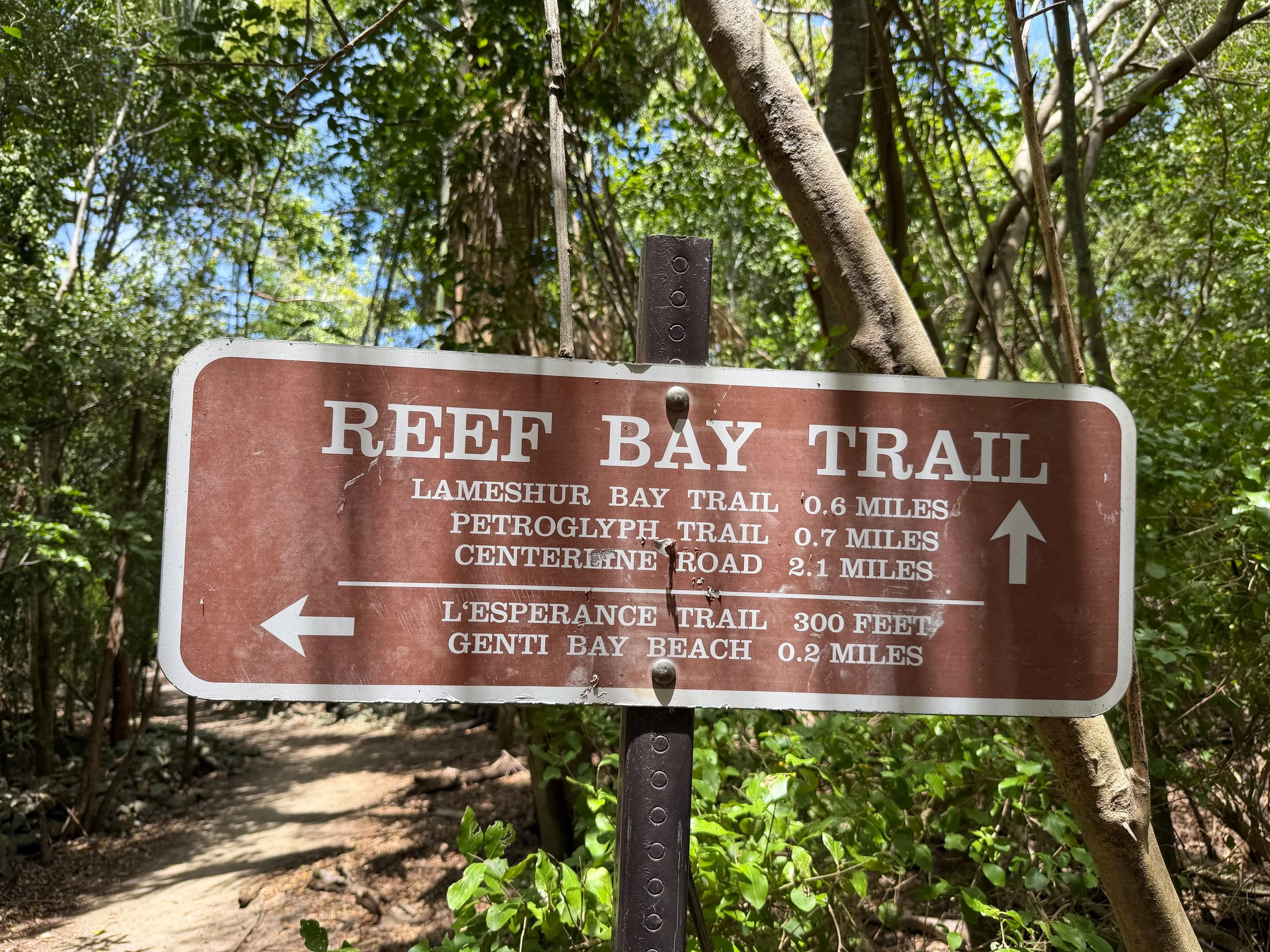 Reef Bay Trail L'Esperance Split Virgin Islands National Park